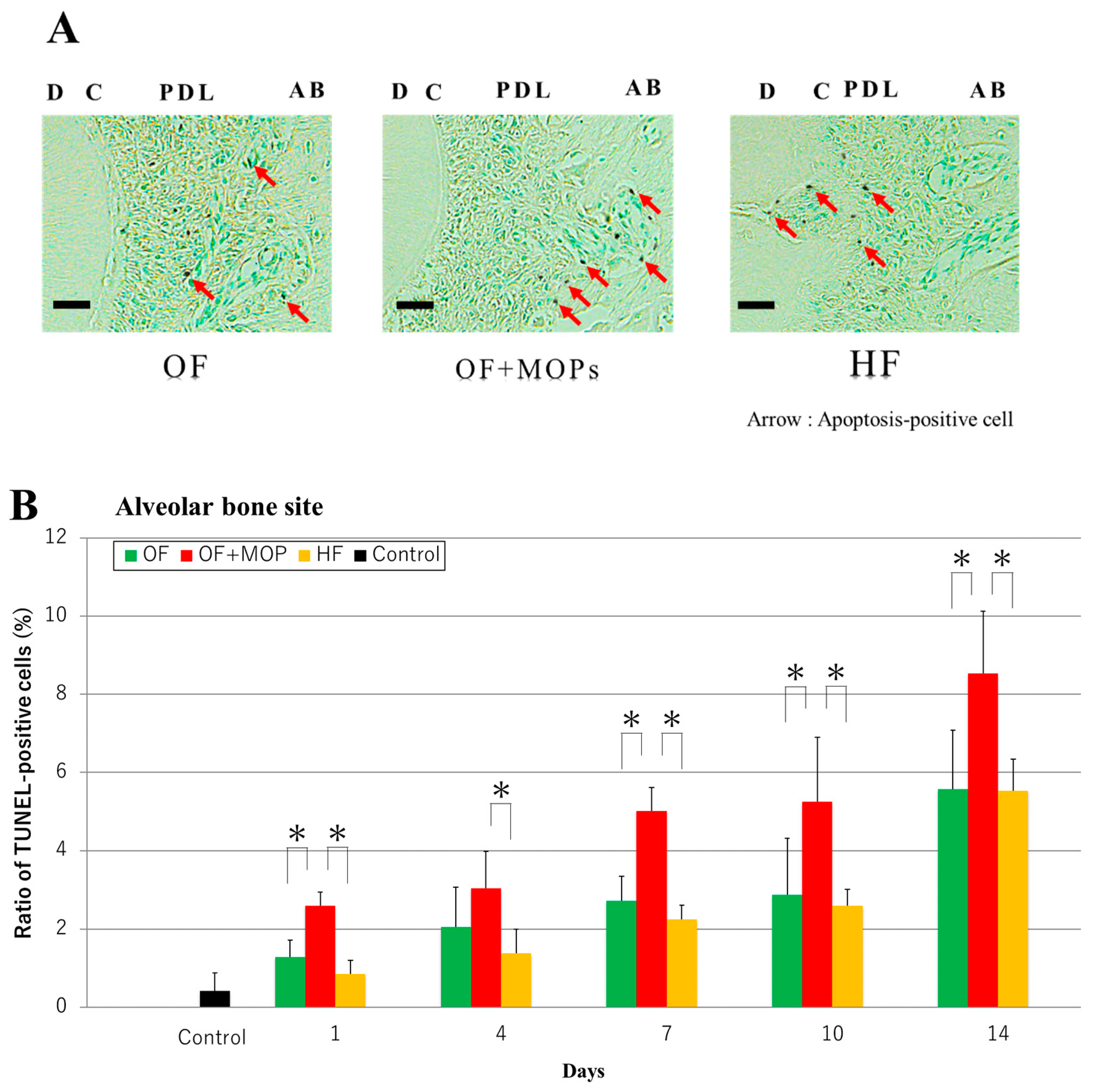 Preprints 95180 g007a