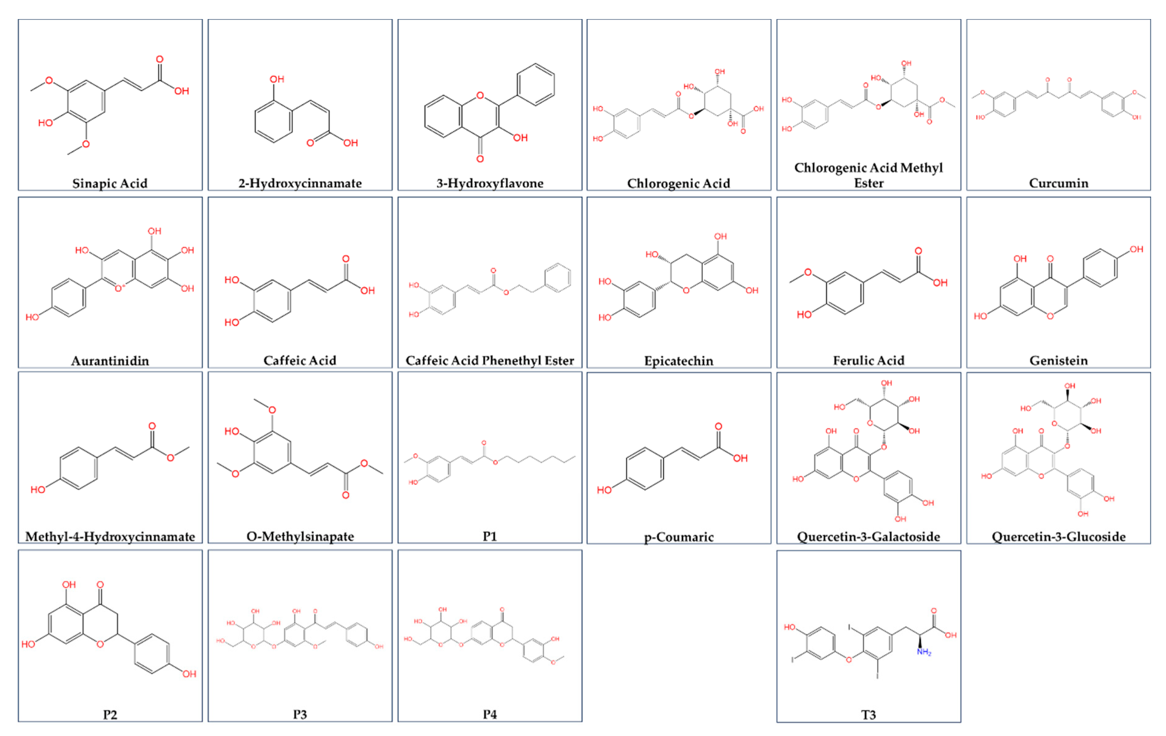 Preprints 174300 g001