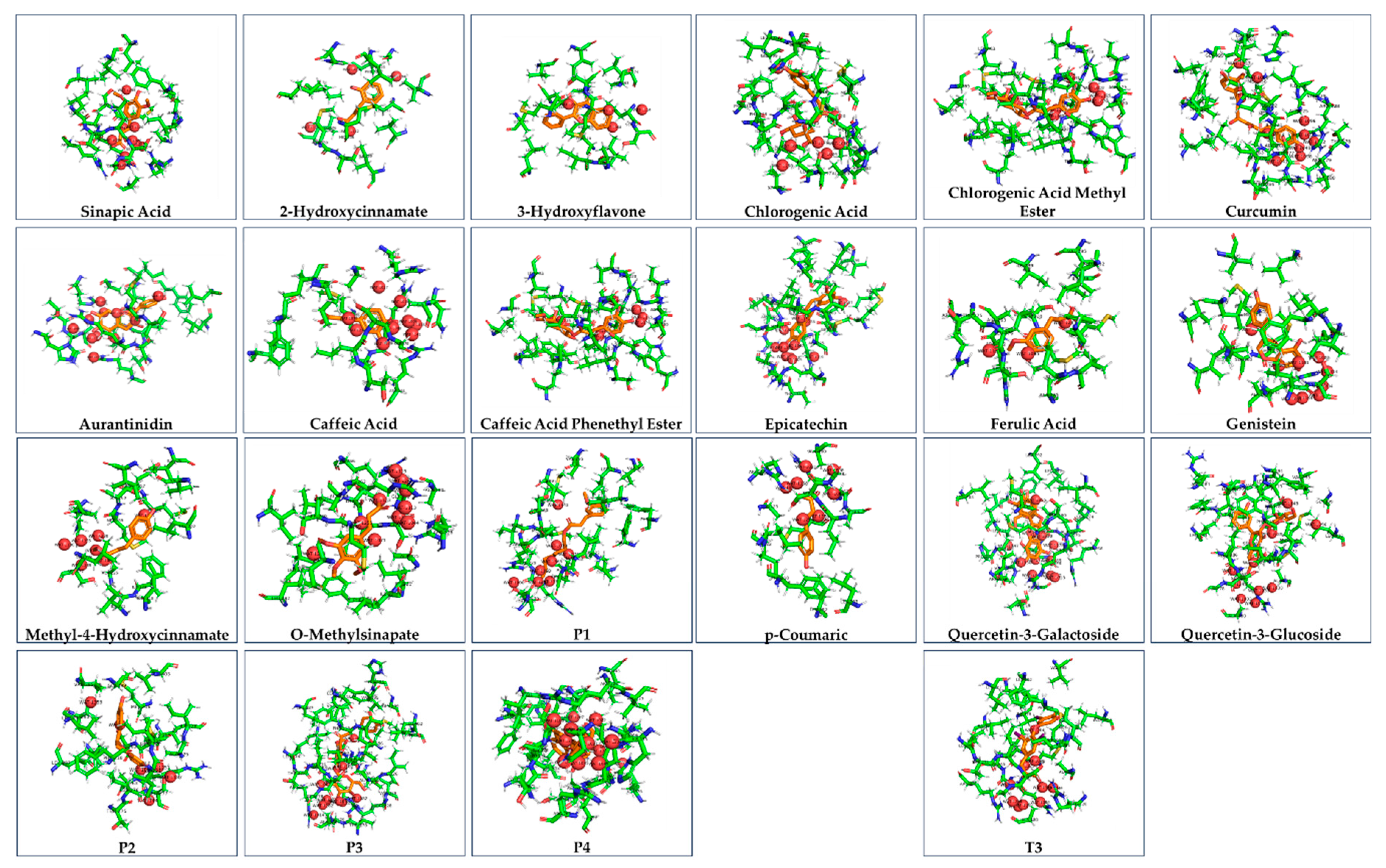 Preprints 174300 g002