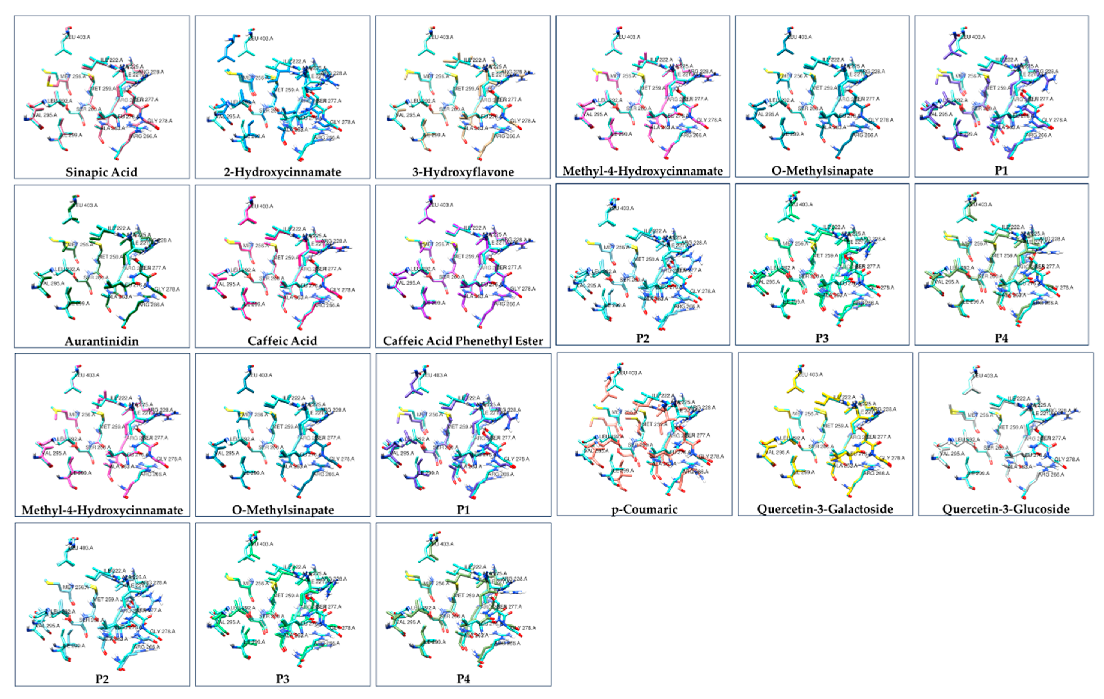 Preprints 174300 g003