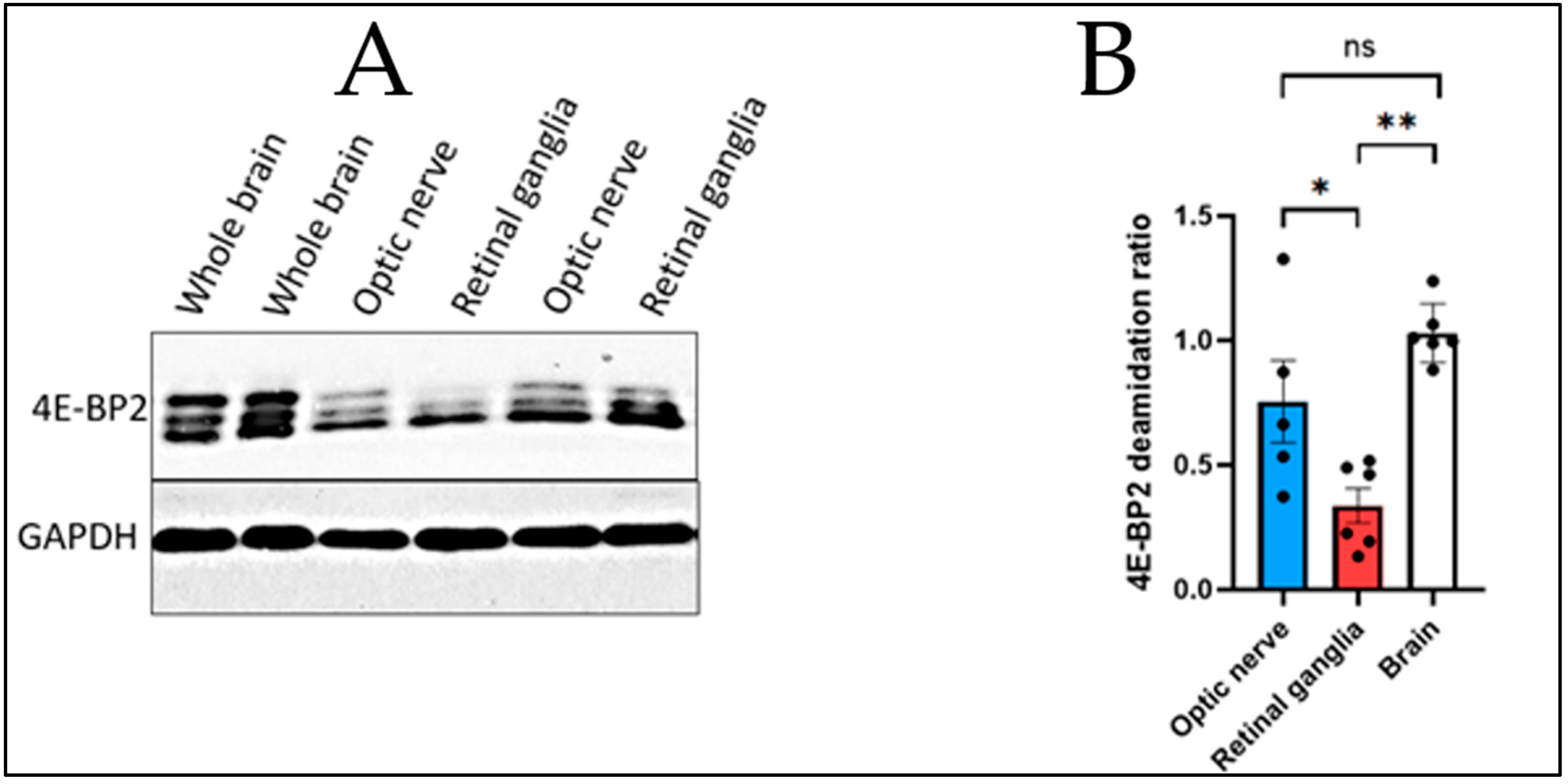 Preprints 137951 g001