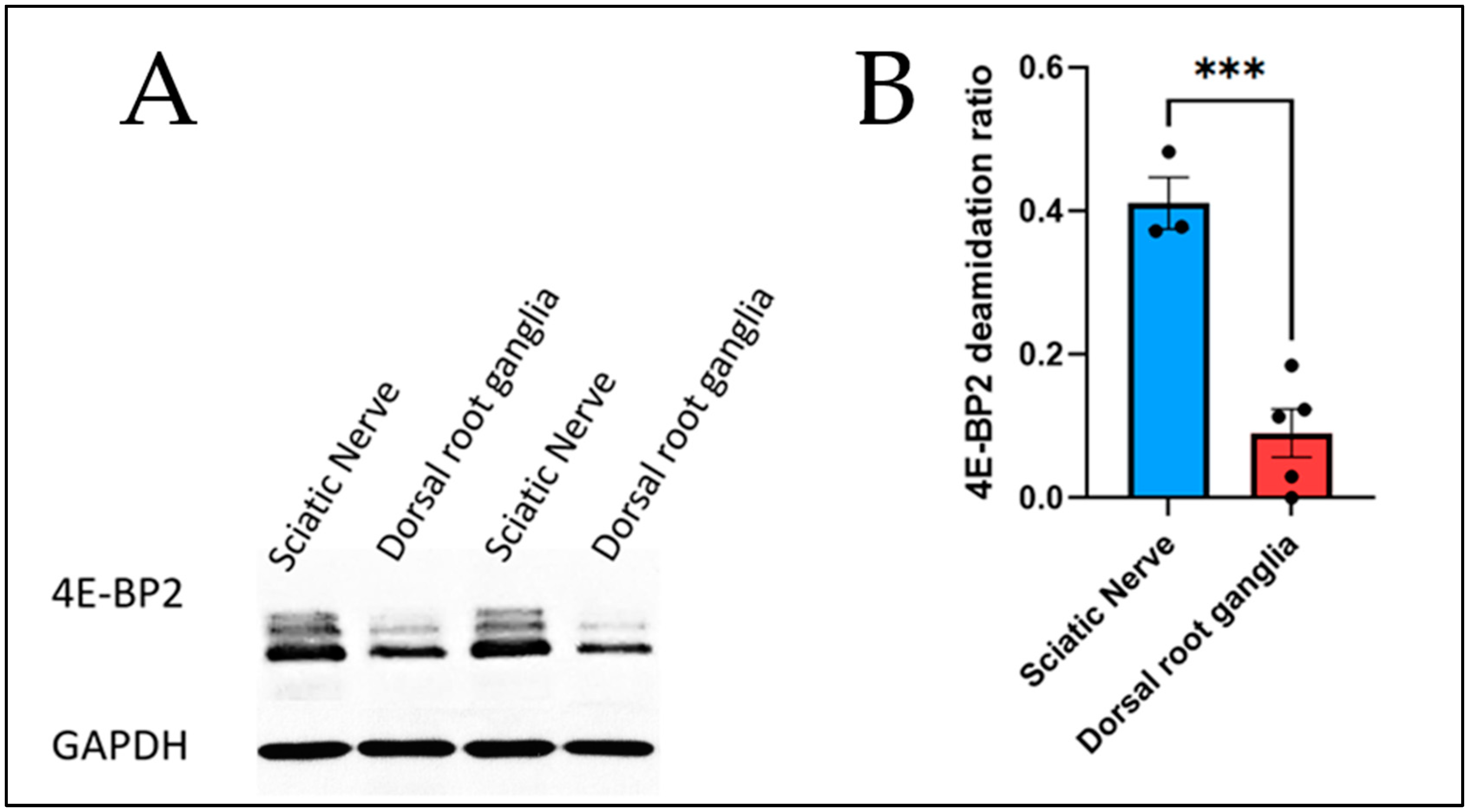 Preprints 137951 g002