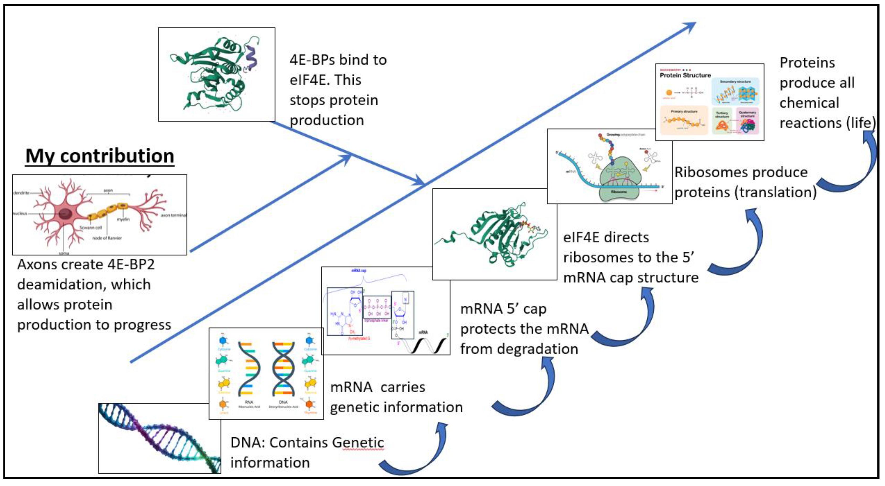 Preprints 137951 g005