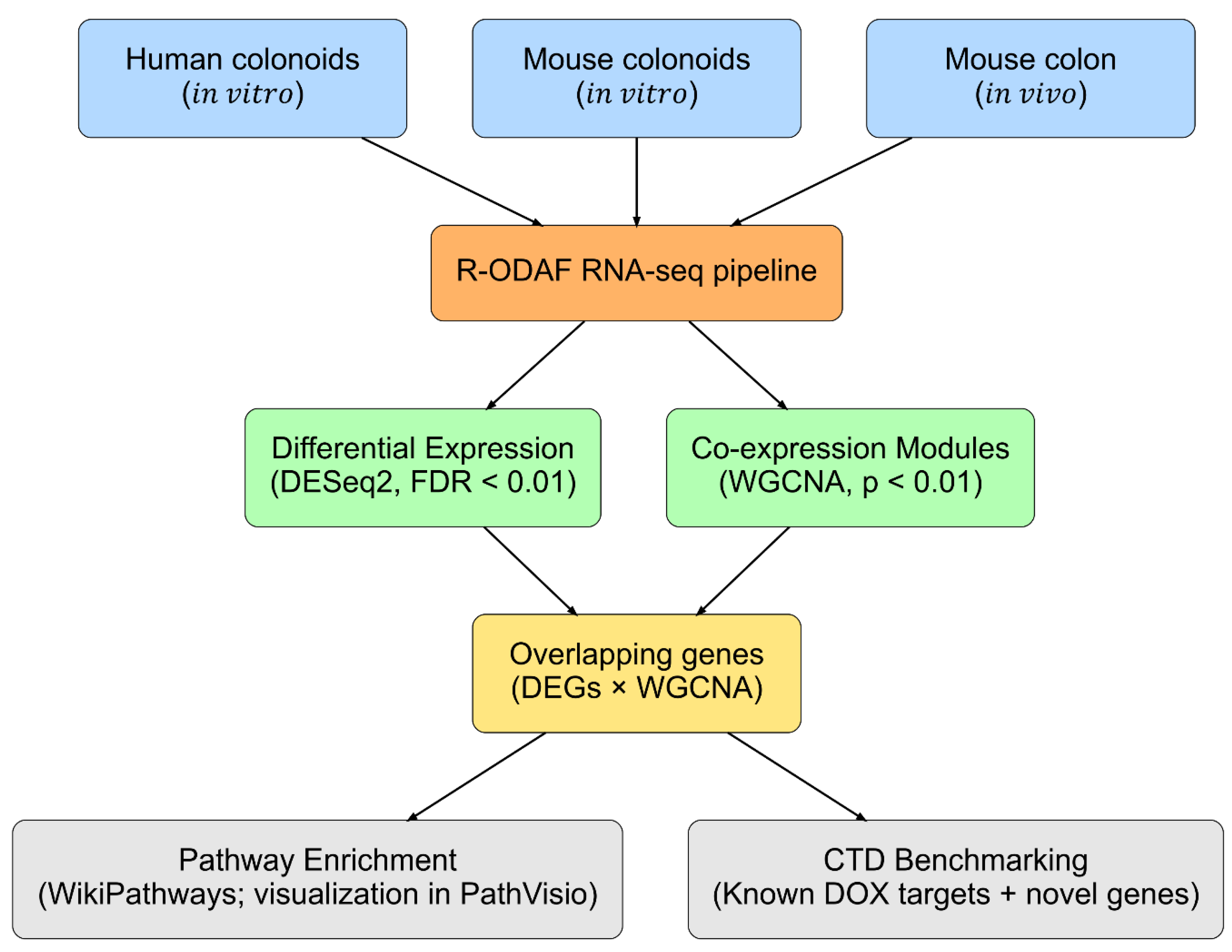 Preprints 220237 g001