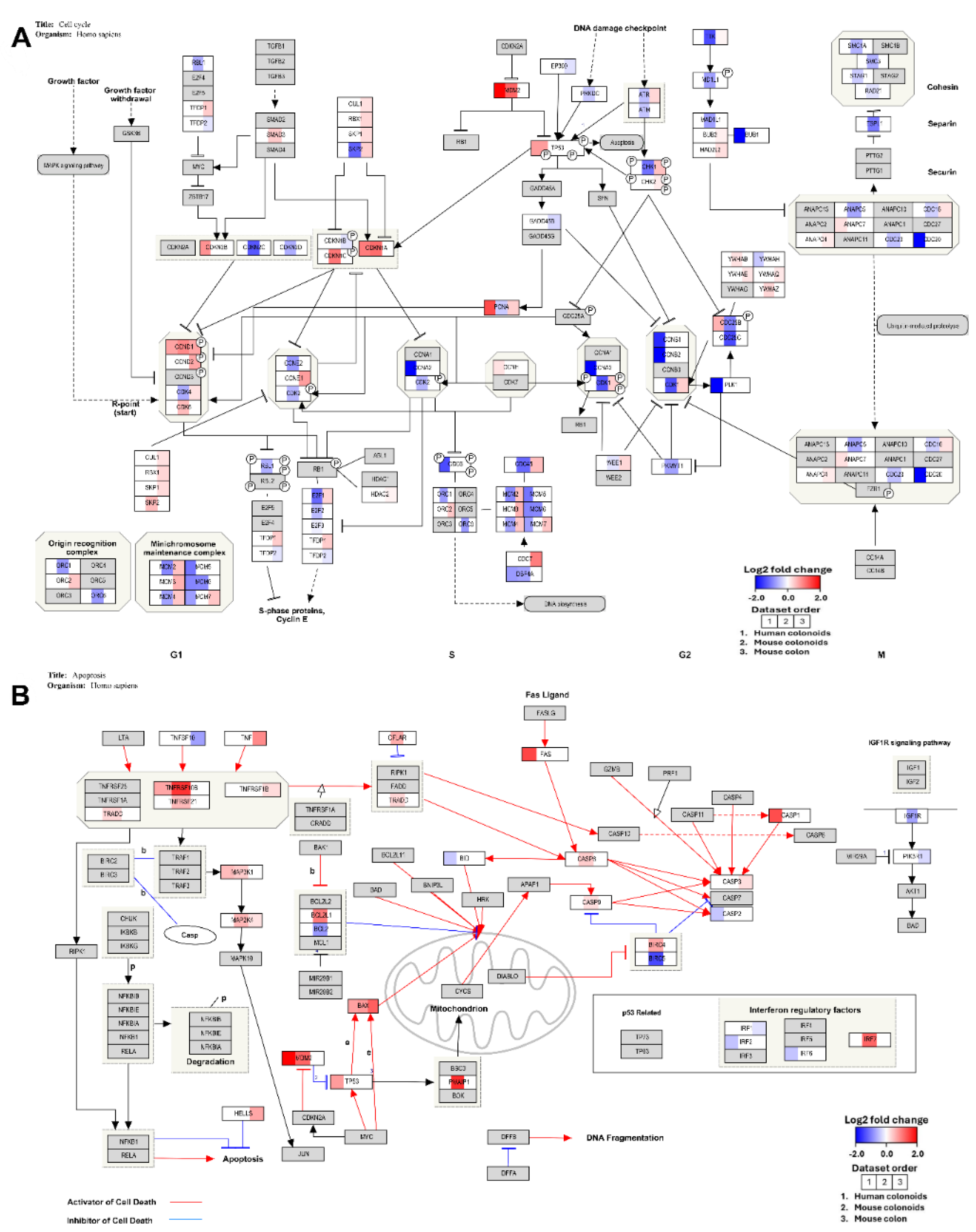 Preprints 220237 g003