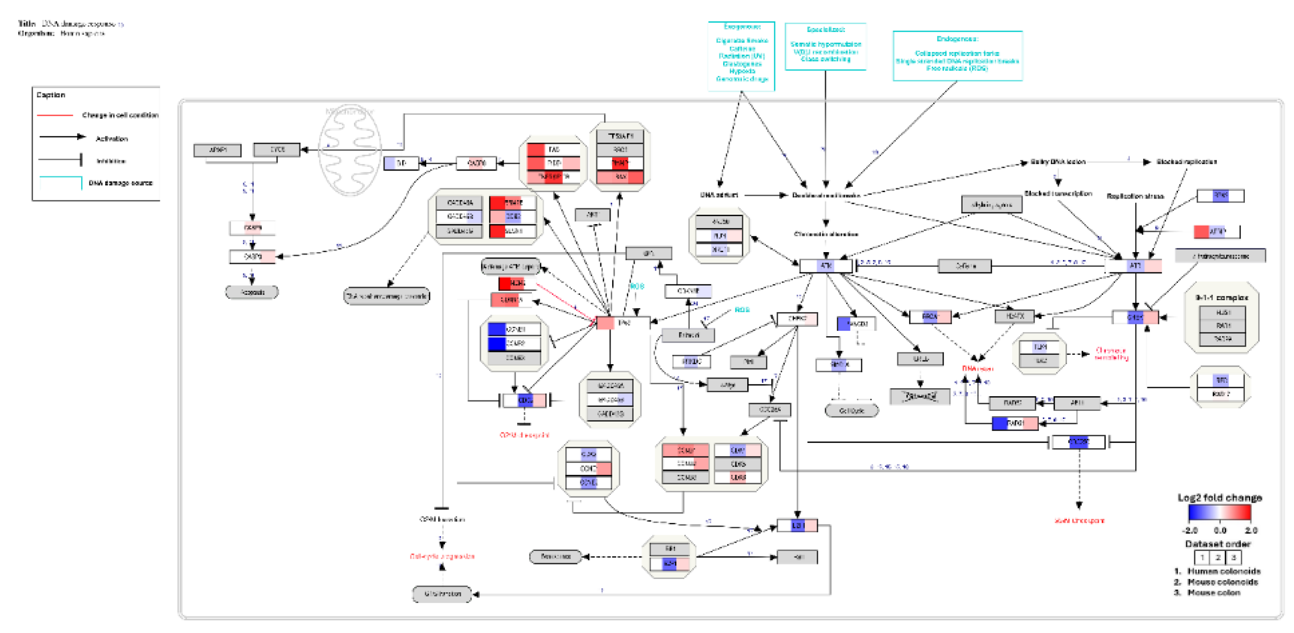 Preprints 220237 g004