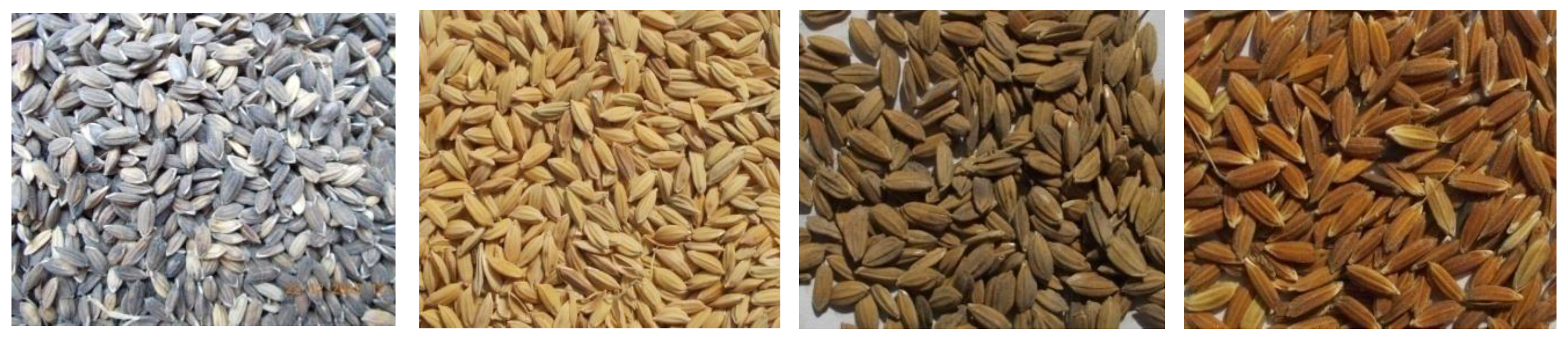 Preprints 90905 g002