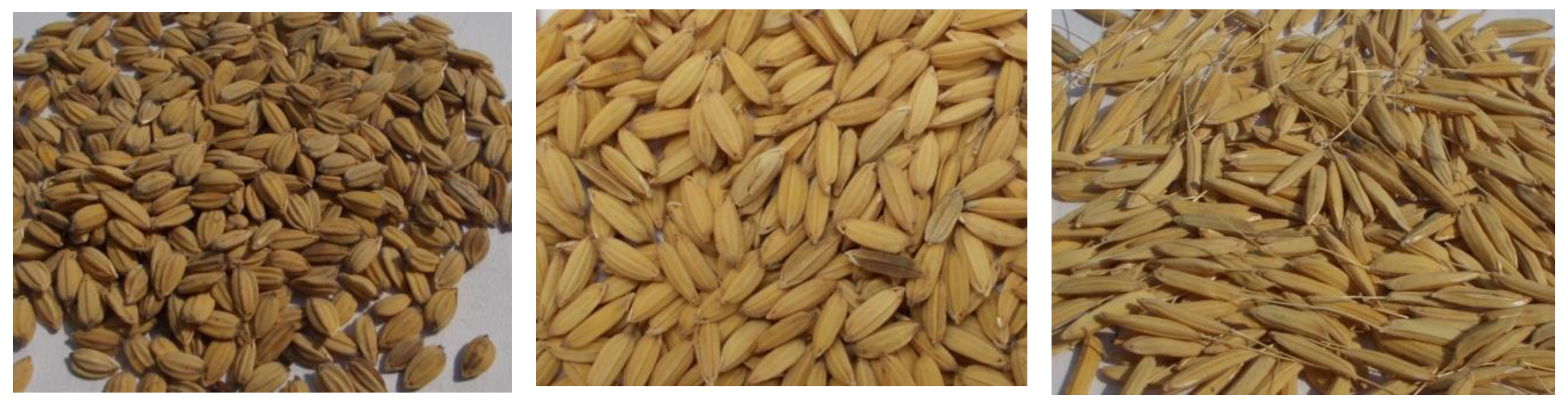 Preprints 90905 g003