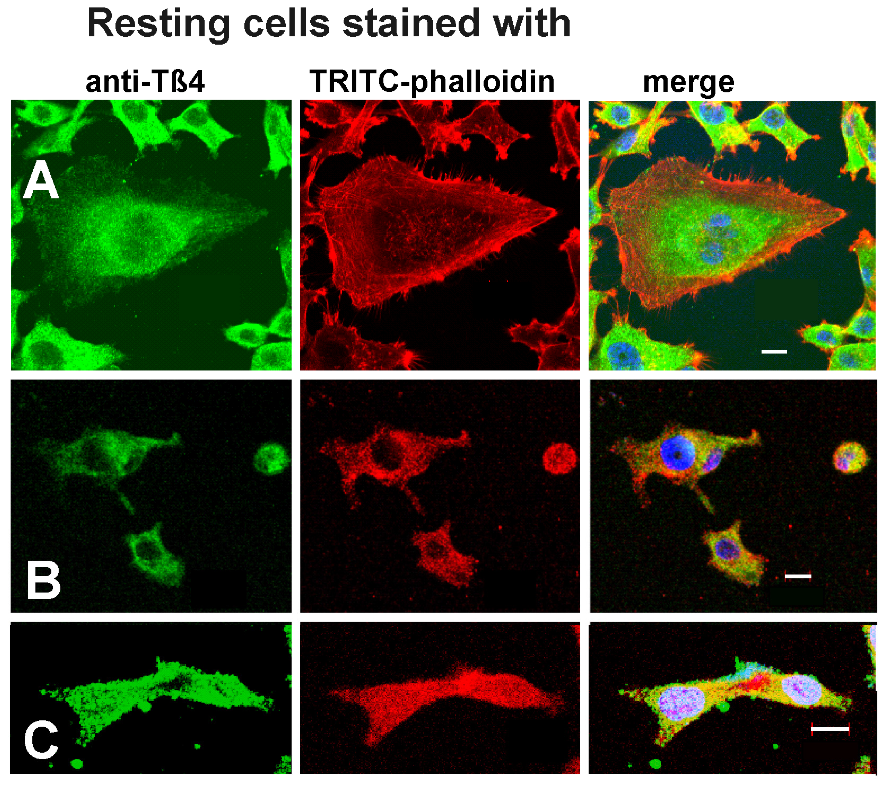 Preprints 144560 g001