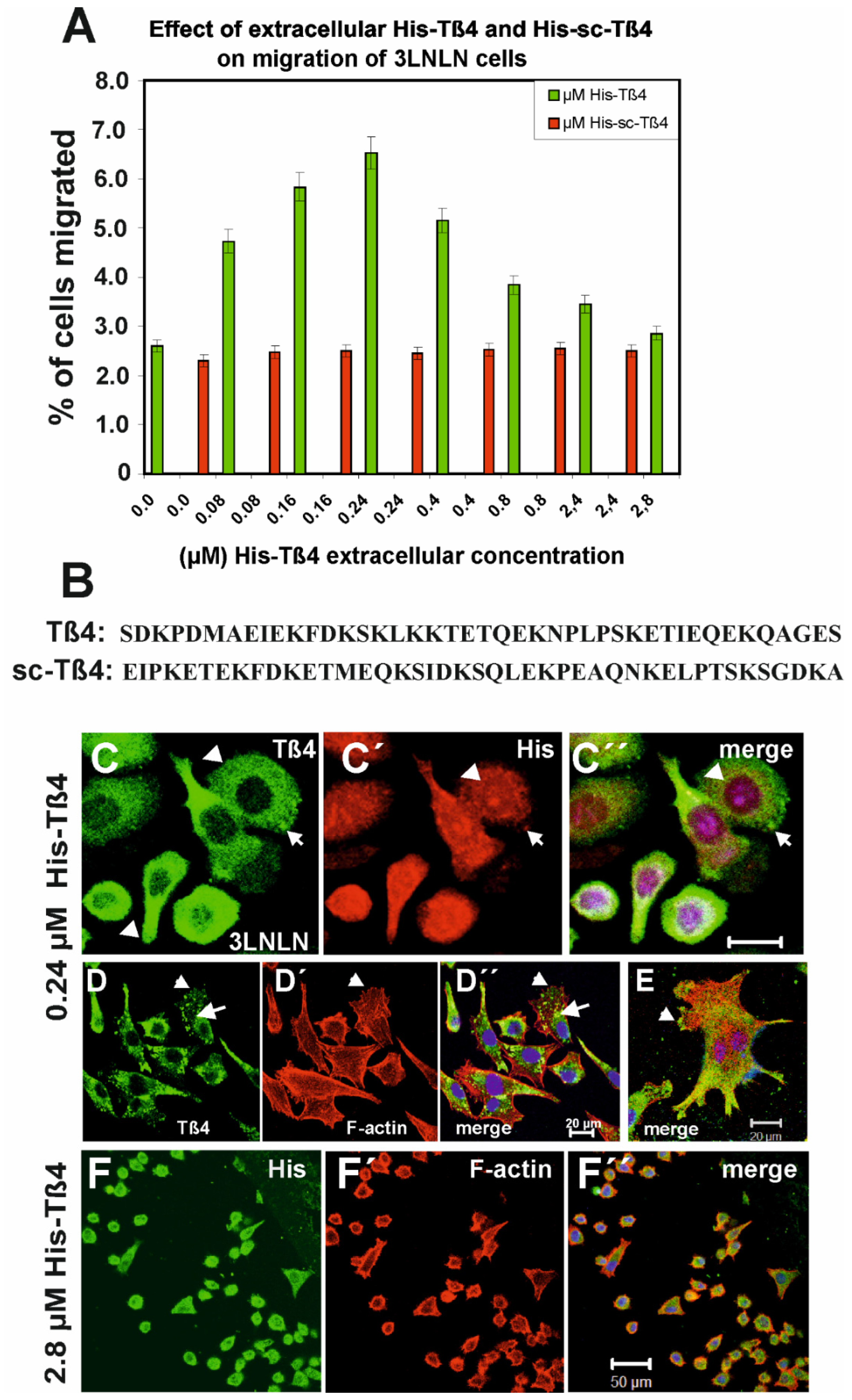 Preprints 144560 g004