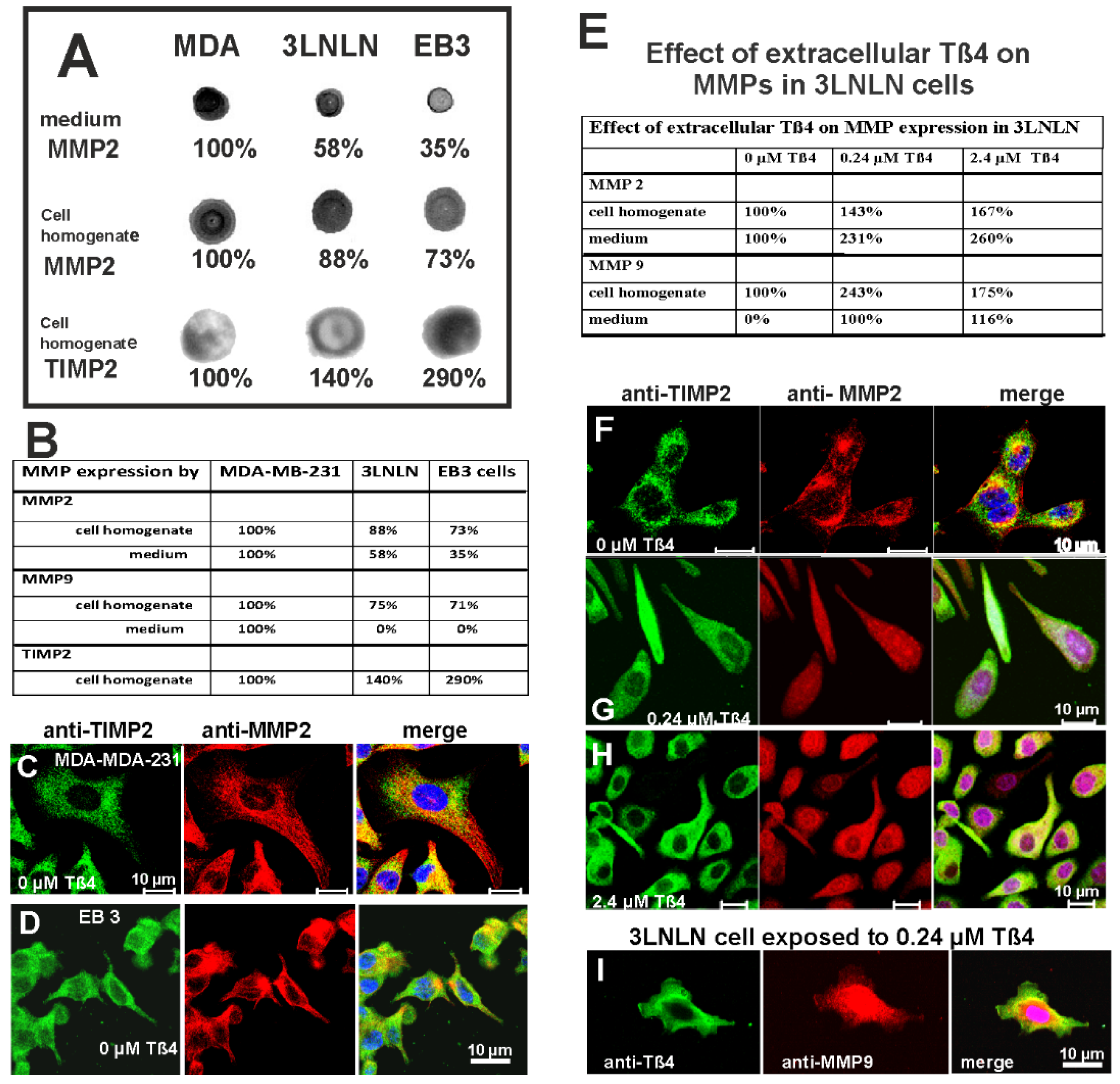 Preprints 144560 g008