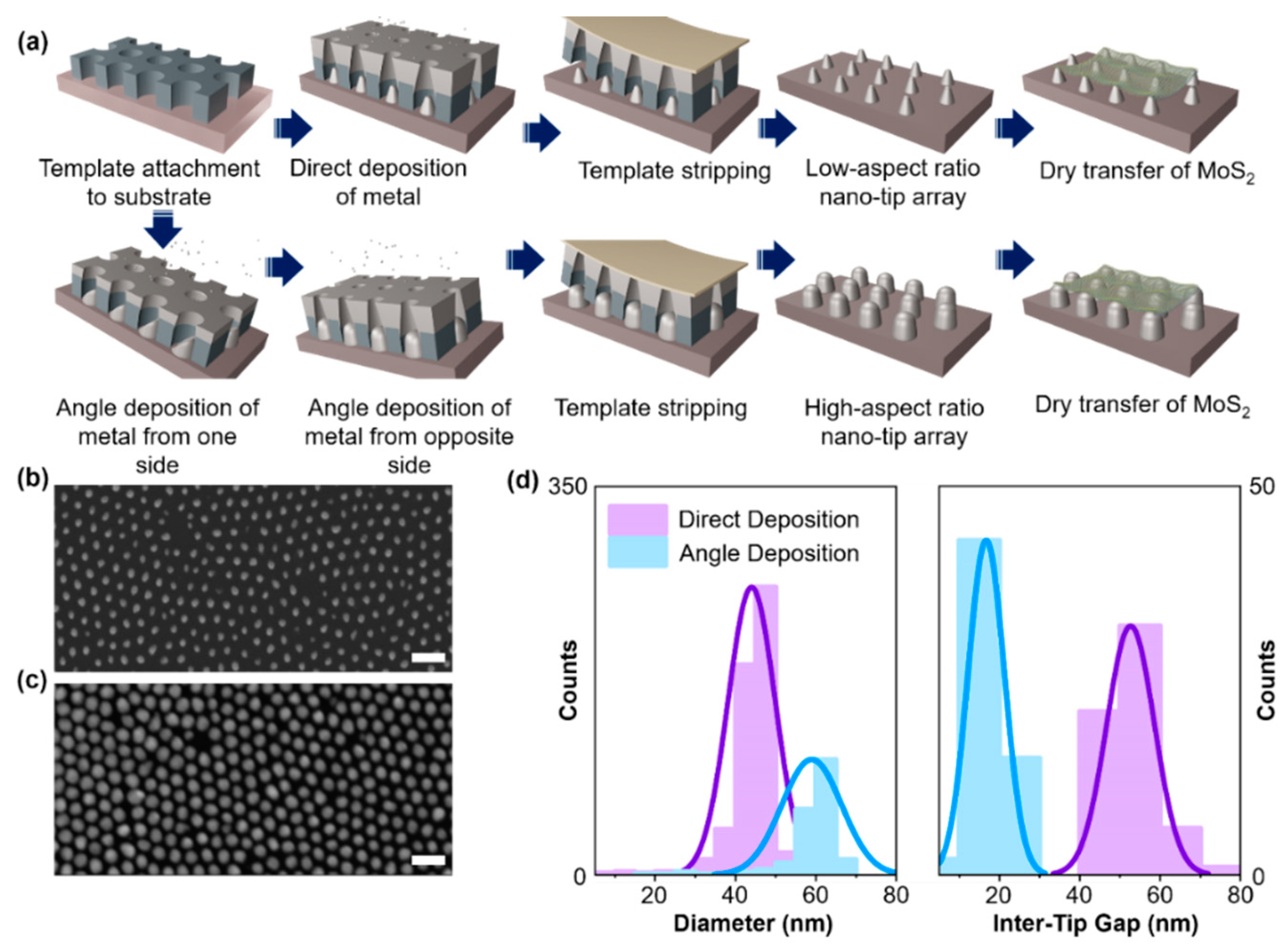 Preprints 139196 g001