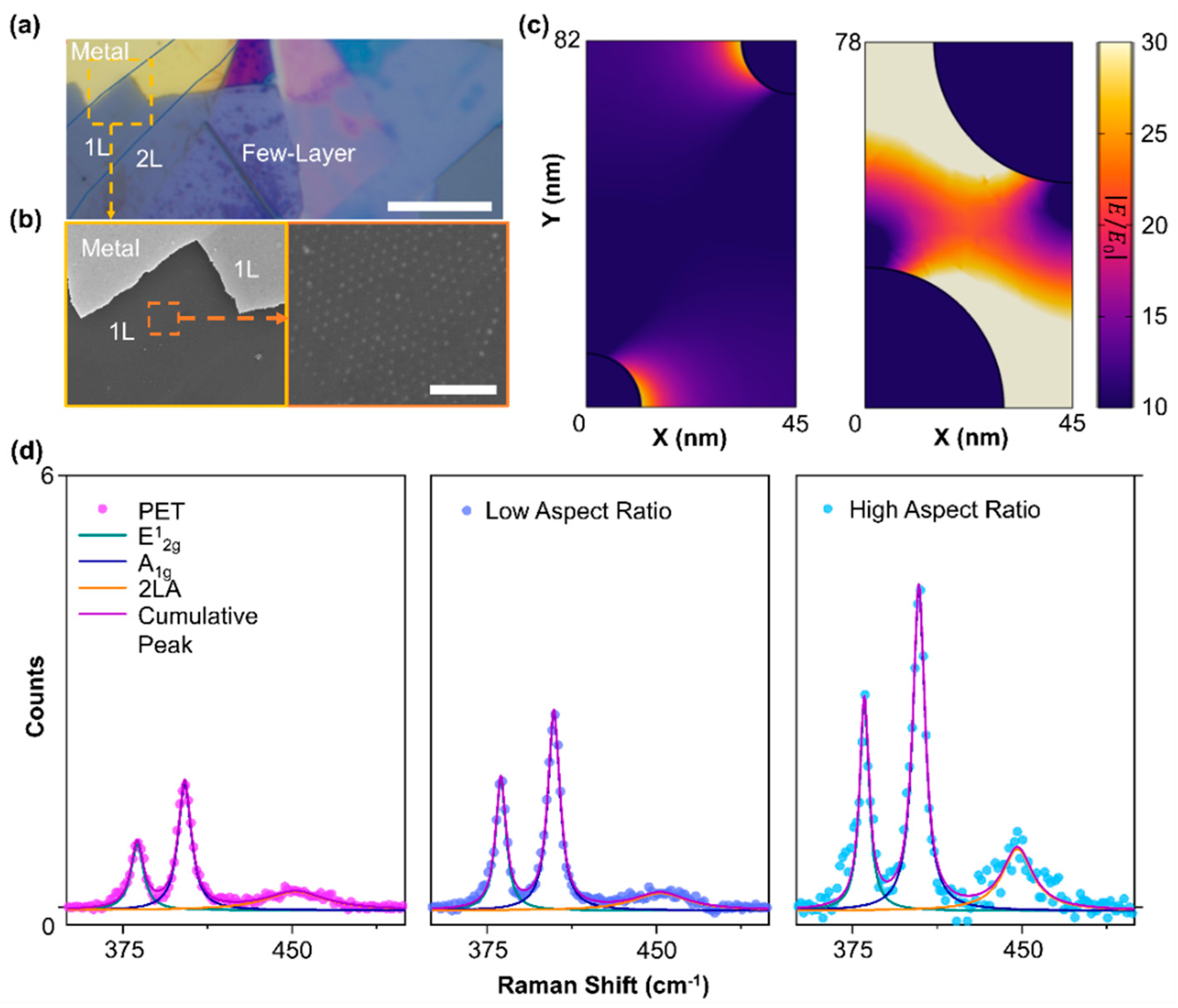 Preprints 139196 g002