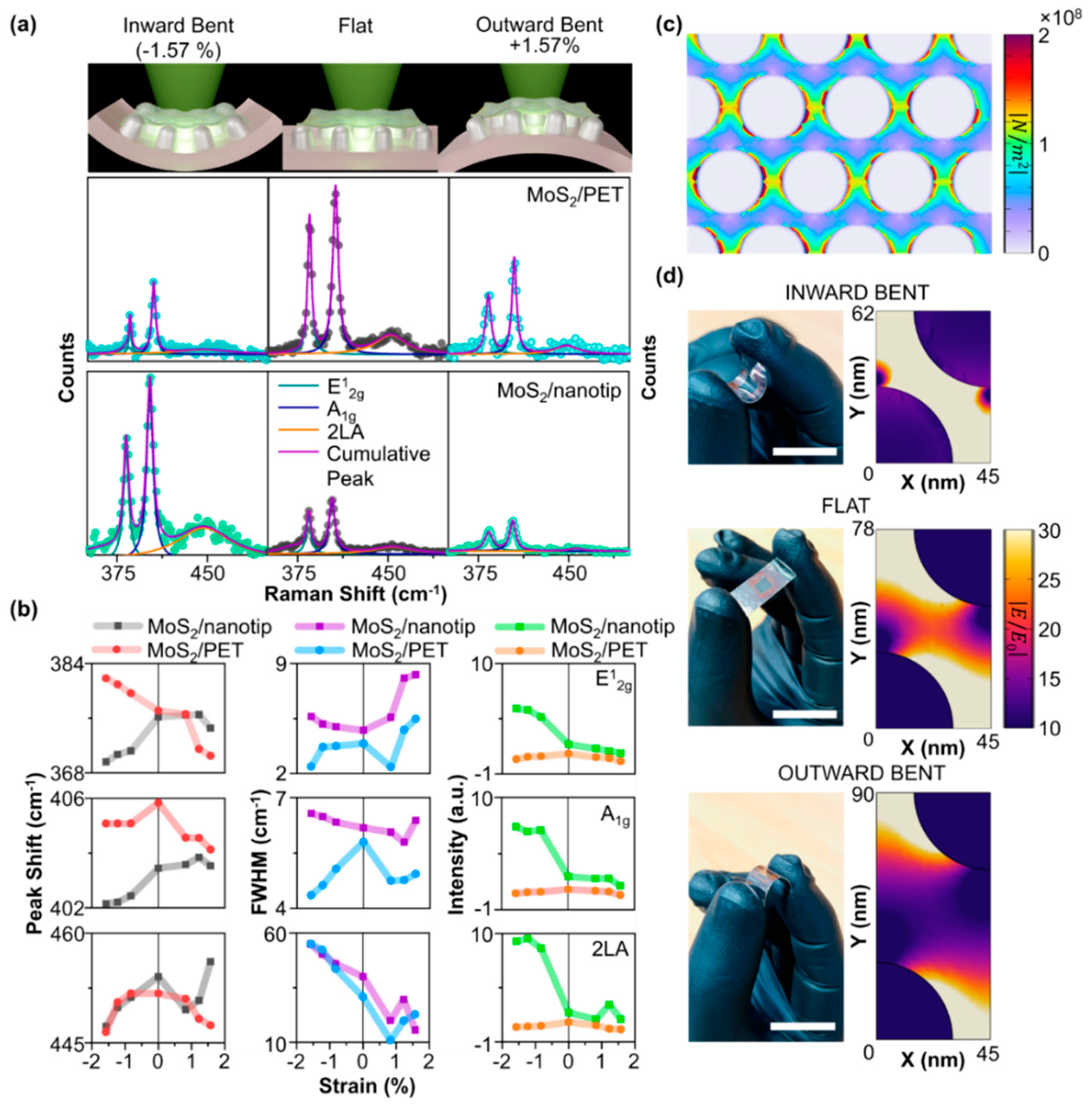 Preprints 139196 g003