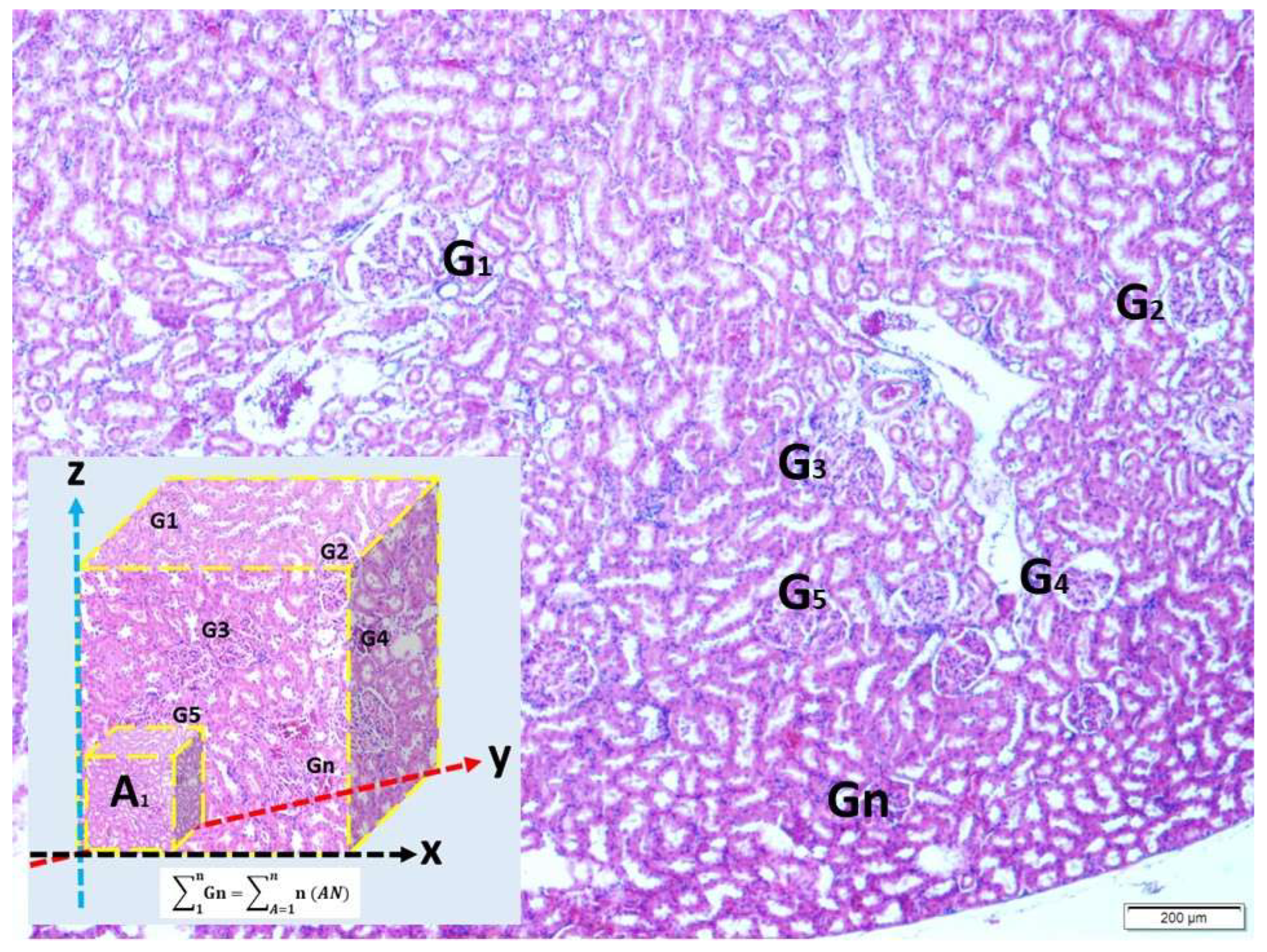 Preprints 218689 g003