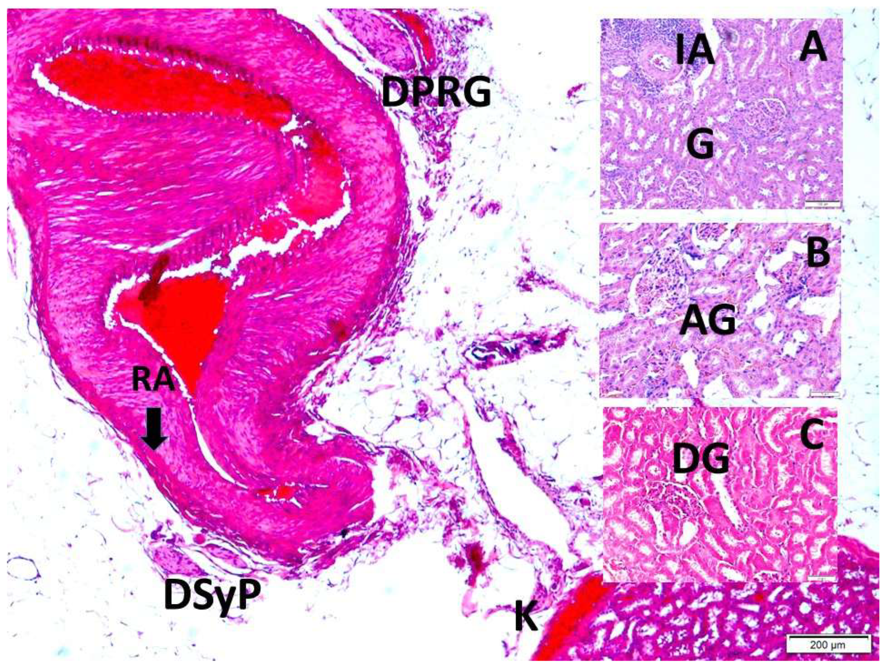 Preprints 218689 g005
