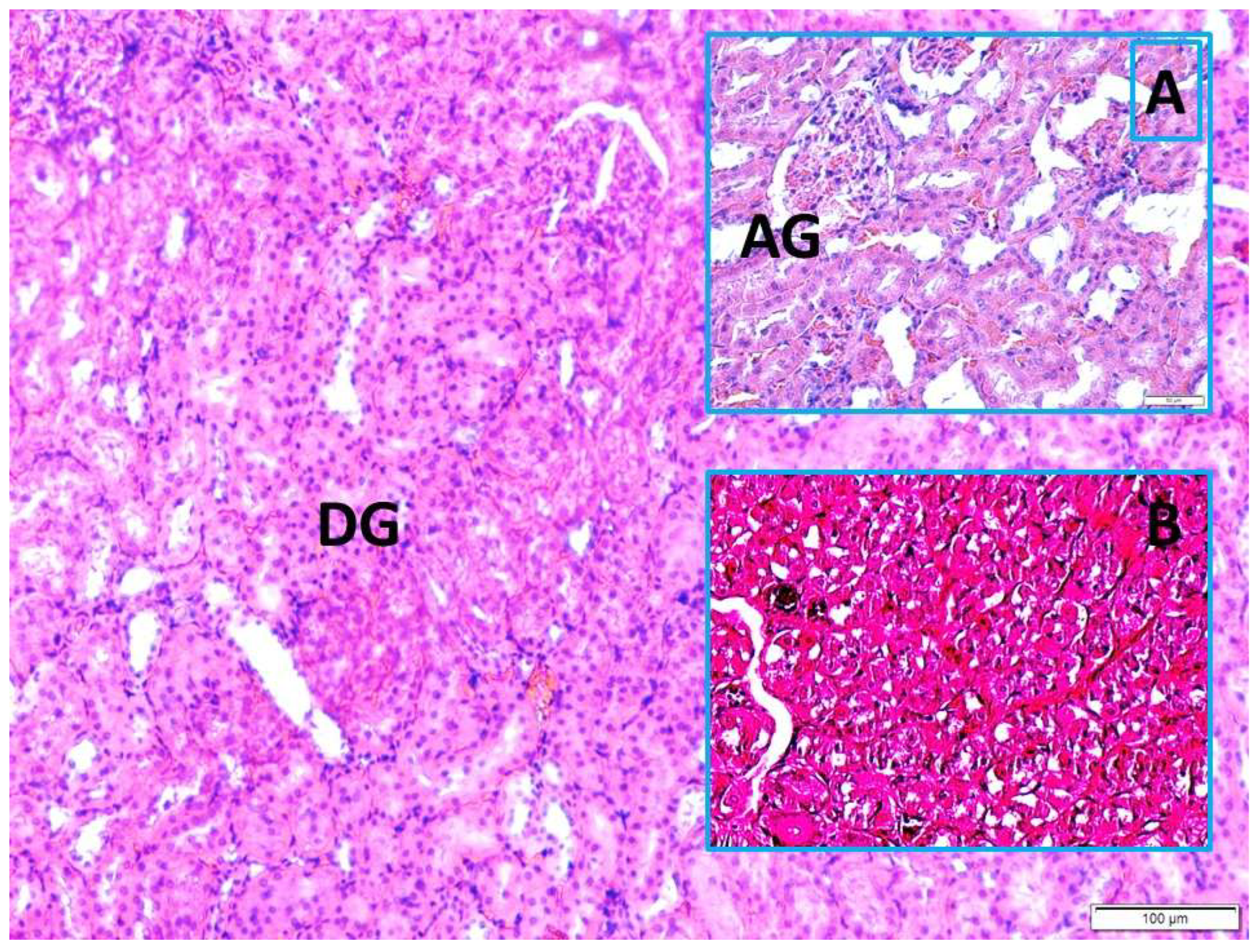 Preprints 218689 g006
