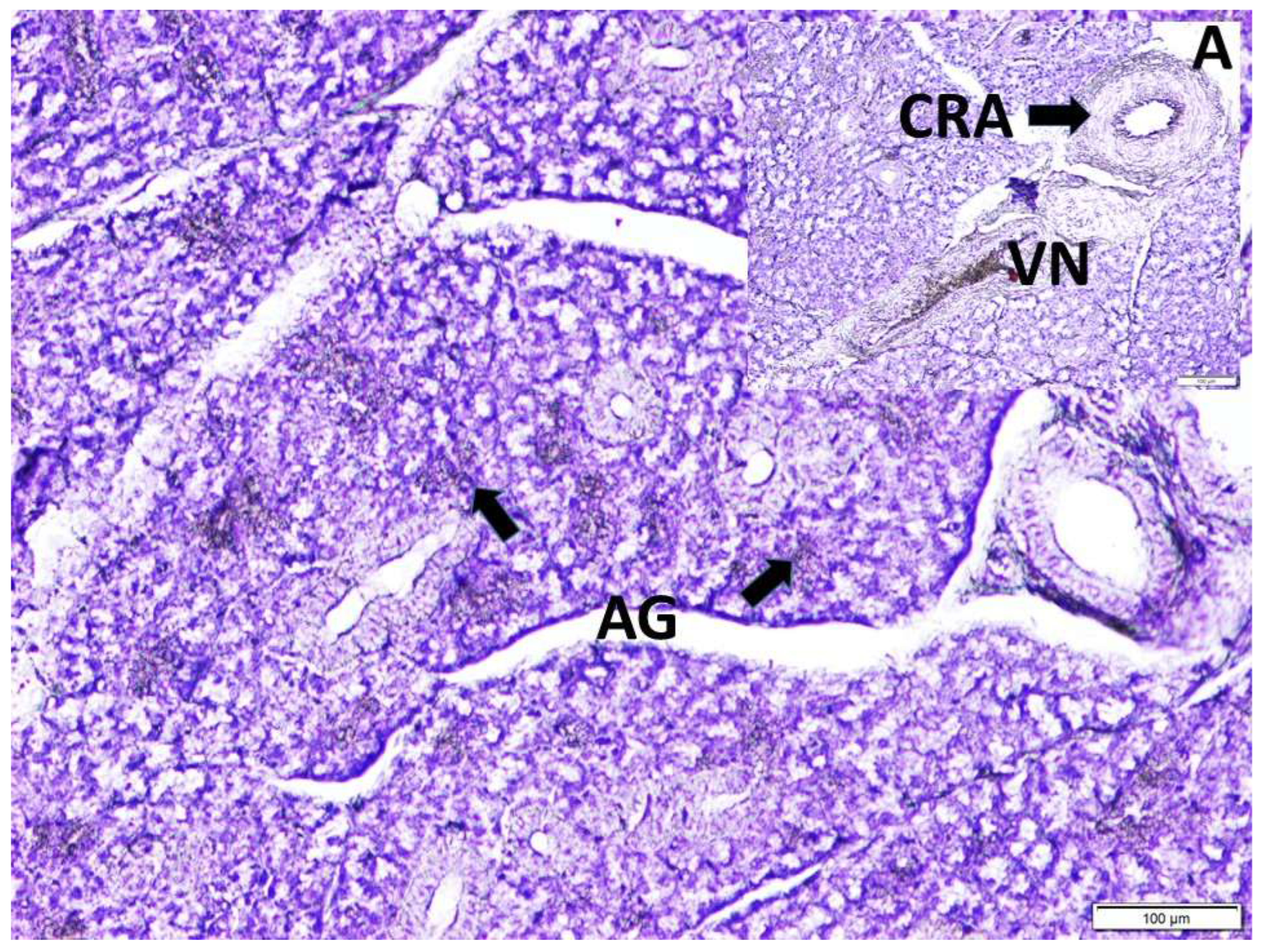Preprints 218689 g007