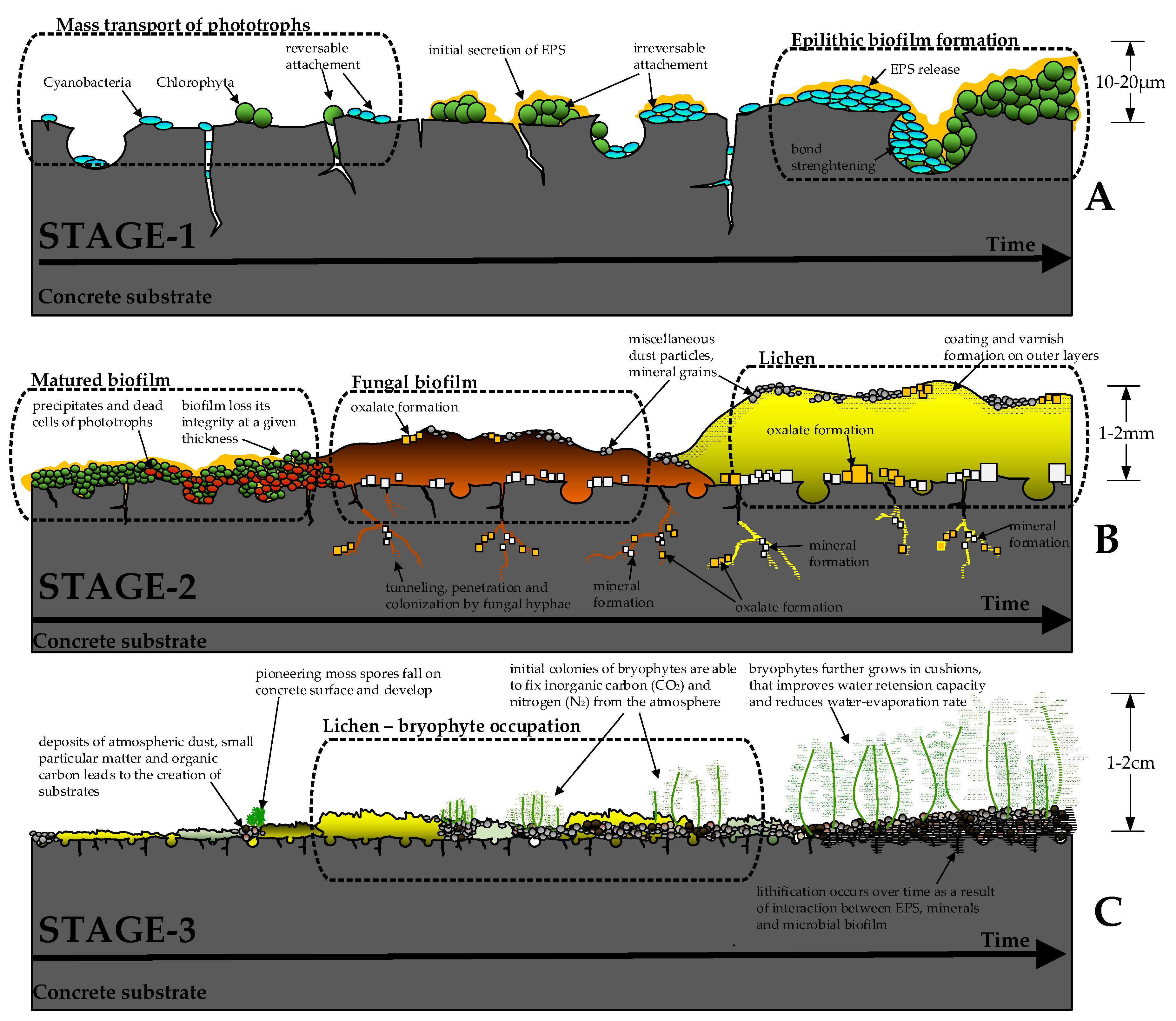 Preprints 138876 g001