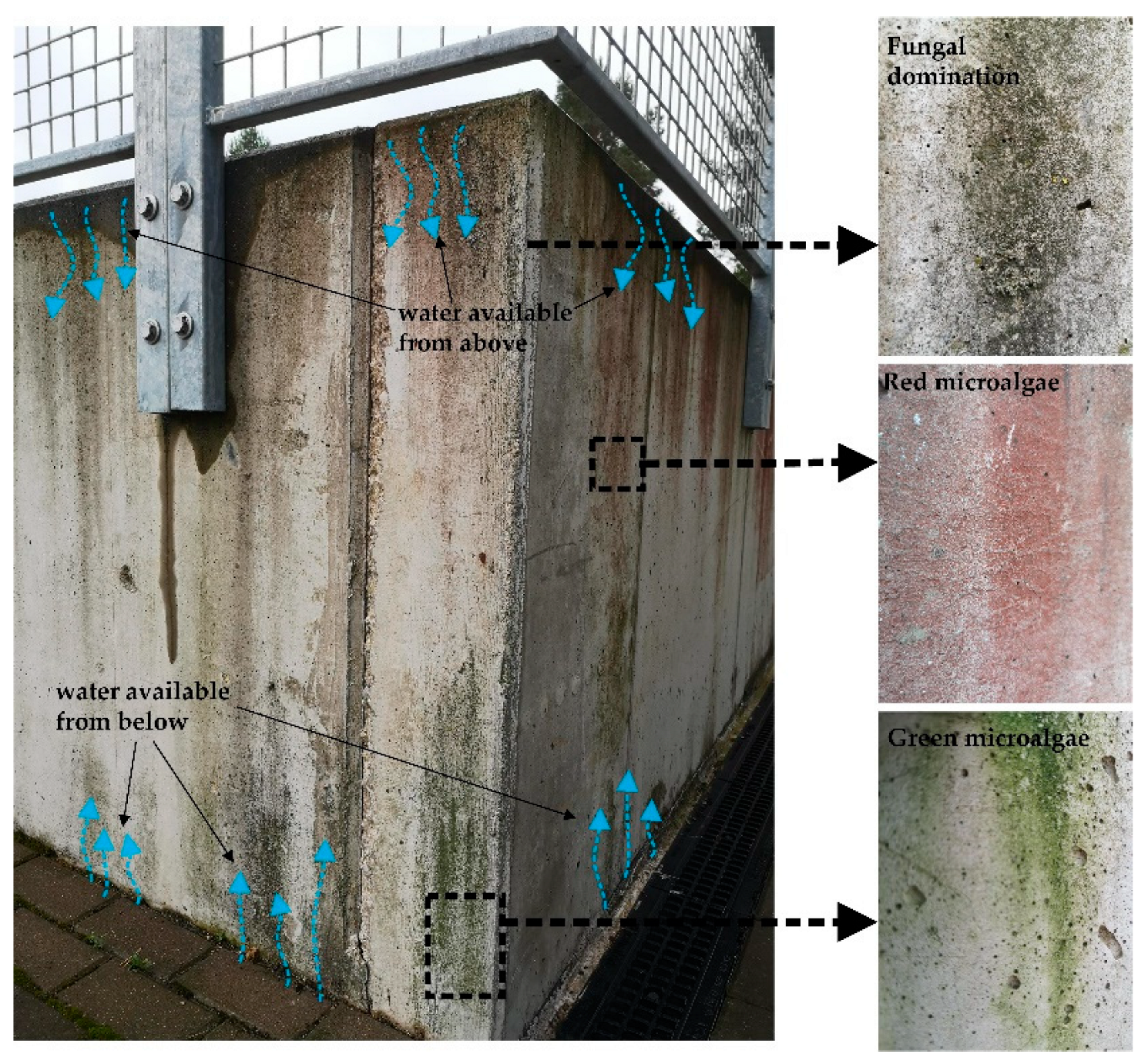 Preprints 138876 g002