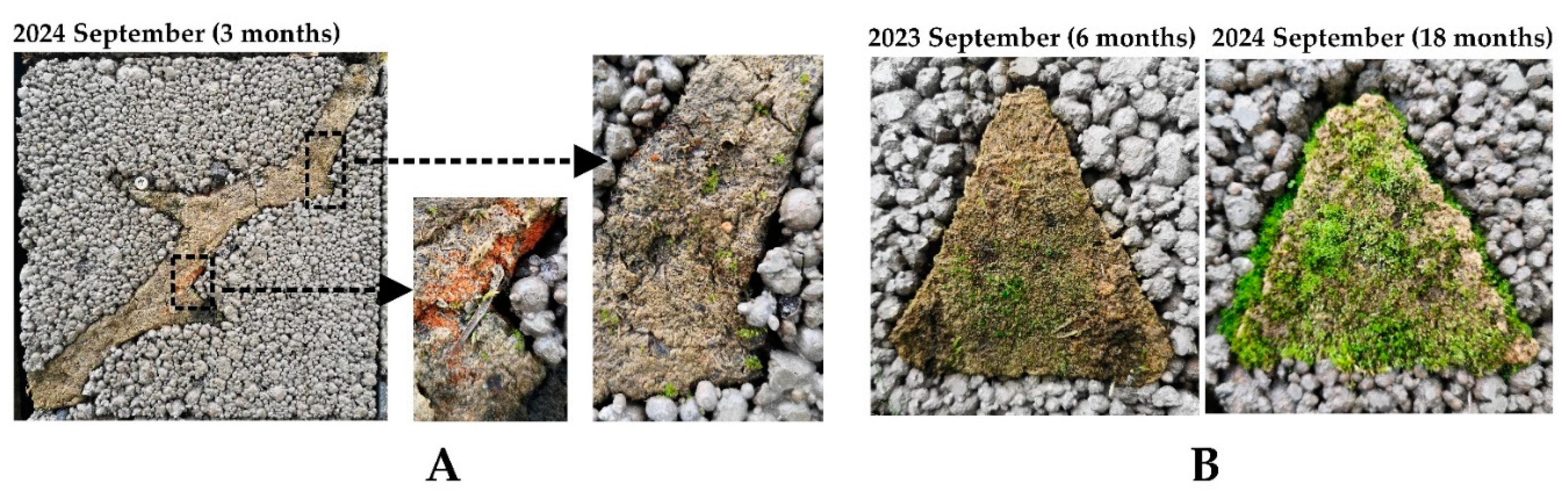 Preprints 138876 g005