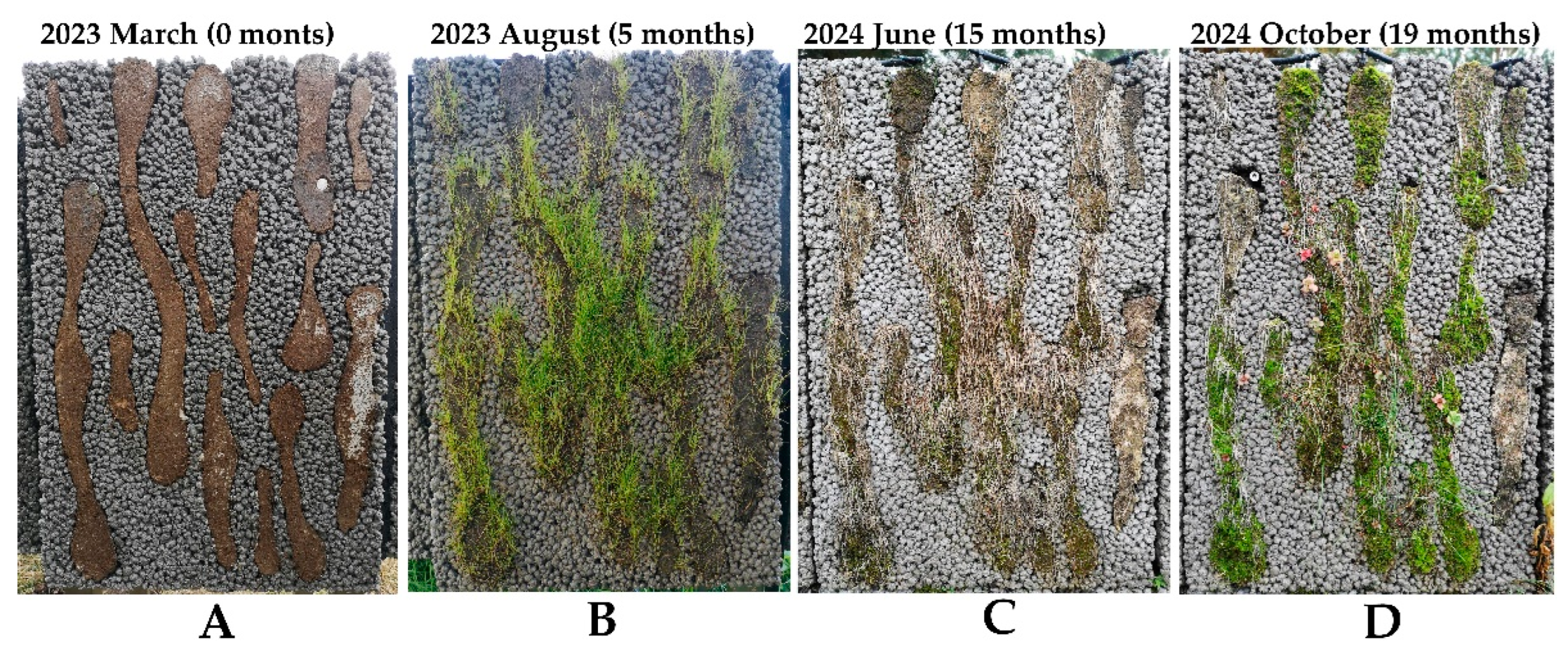 Preprints 138876 g006