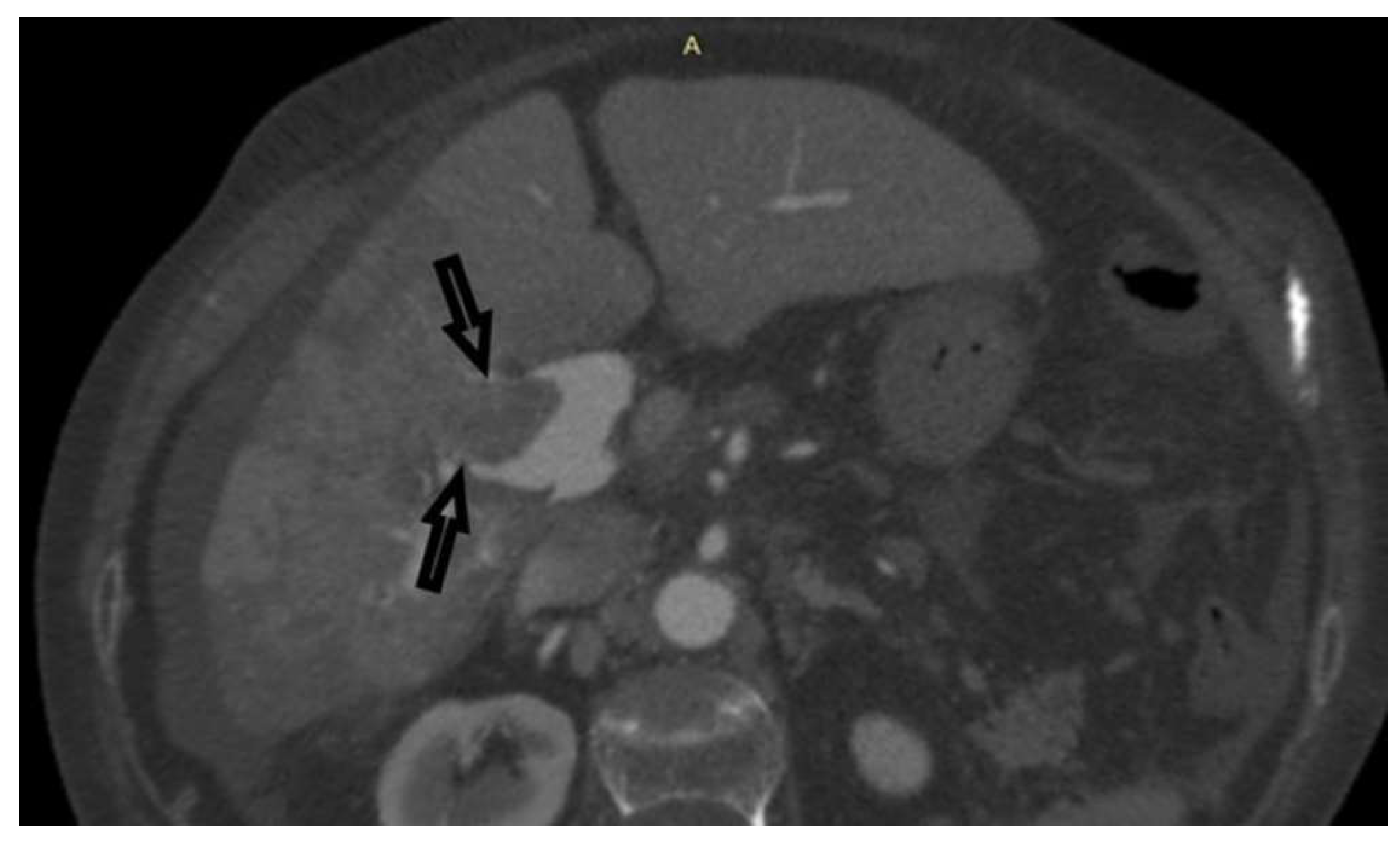 Preprints 153053 g001