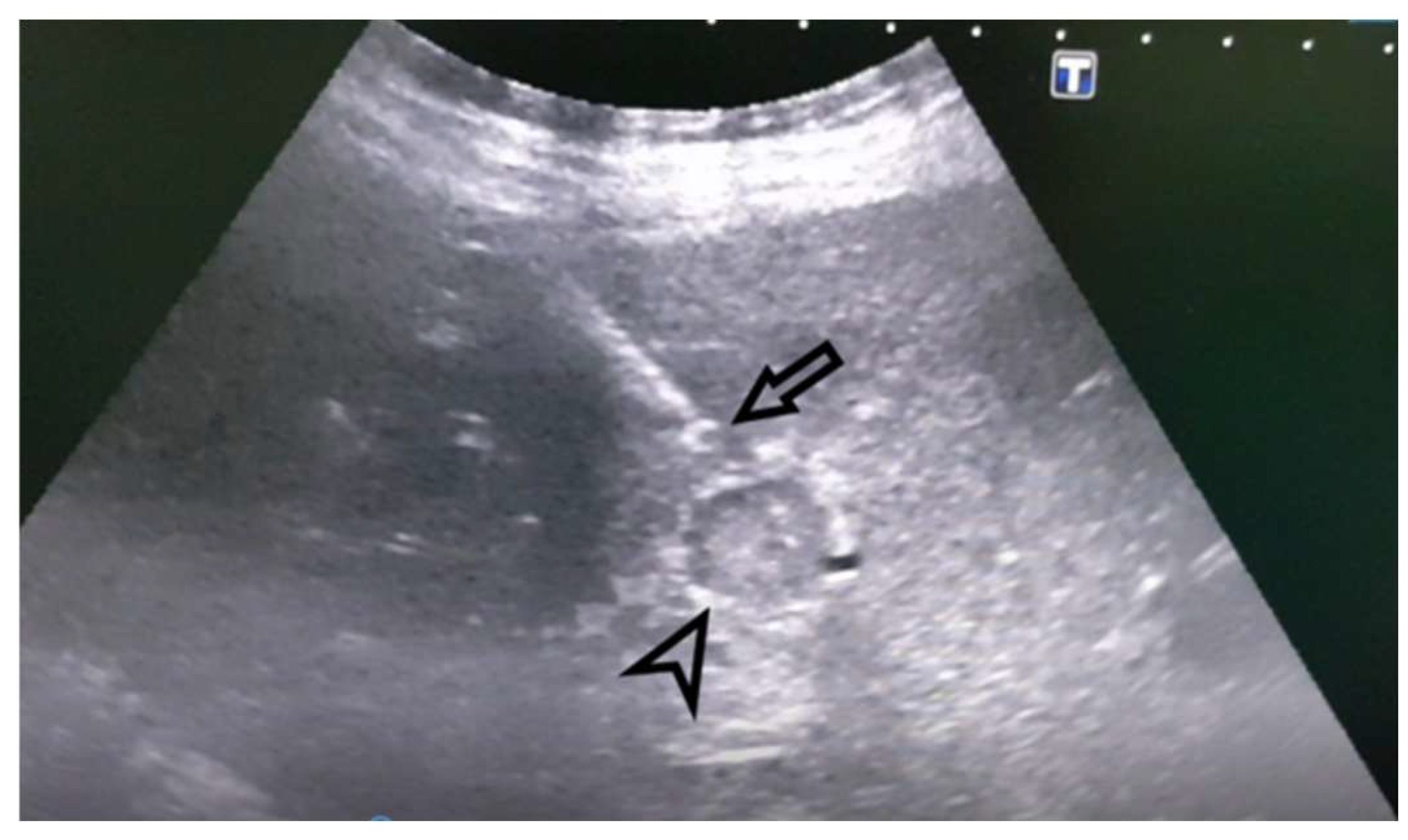 Preprints 153053 g002