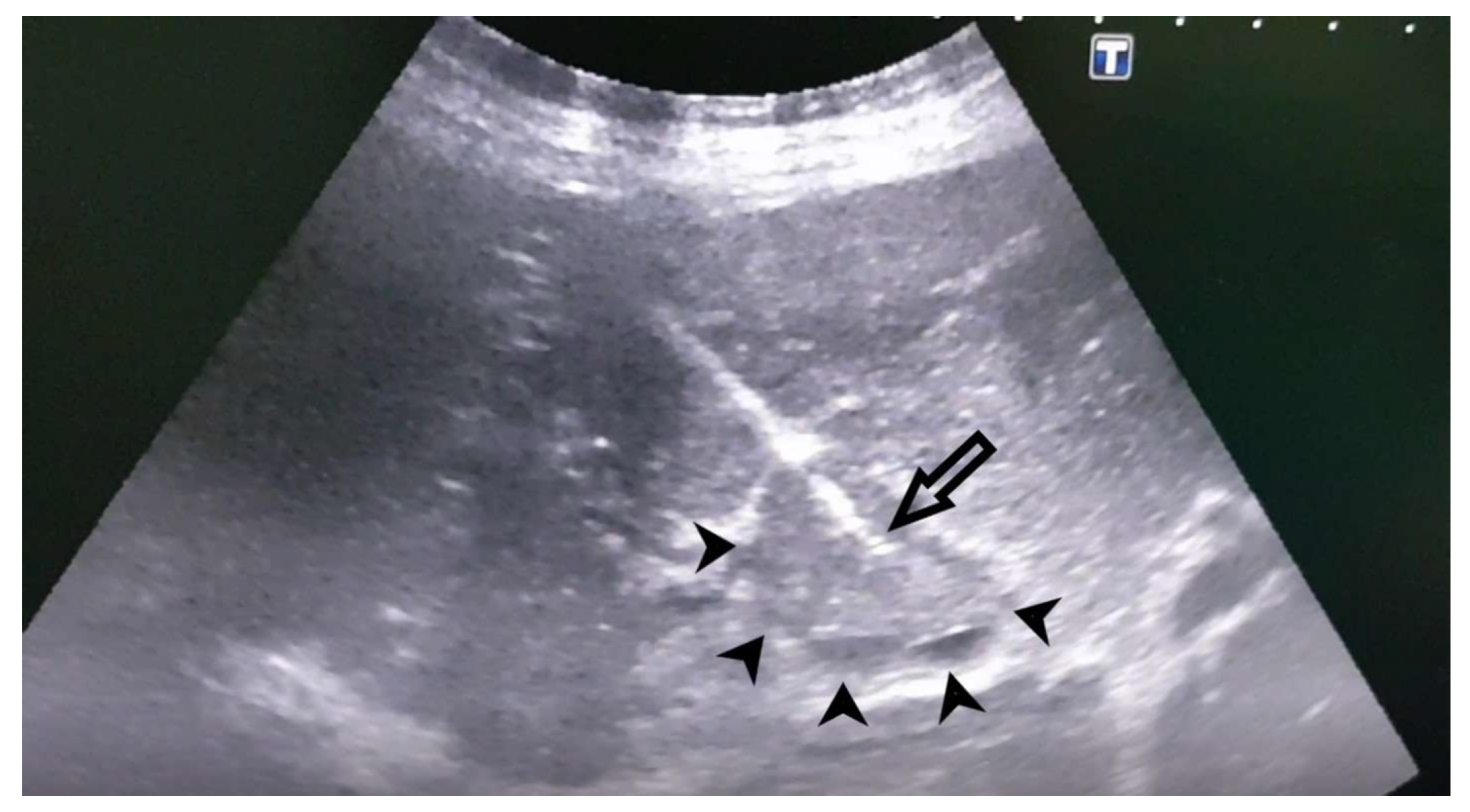 Preprints 153053 g003