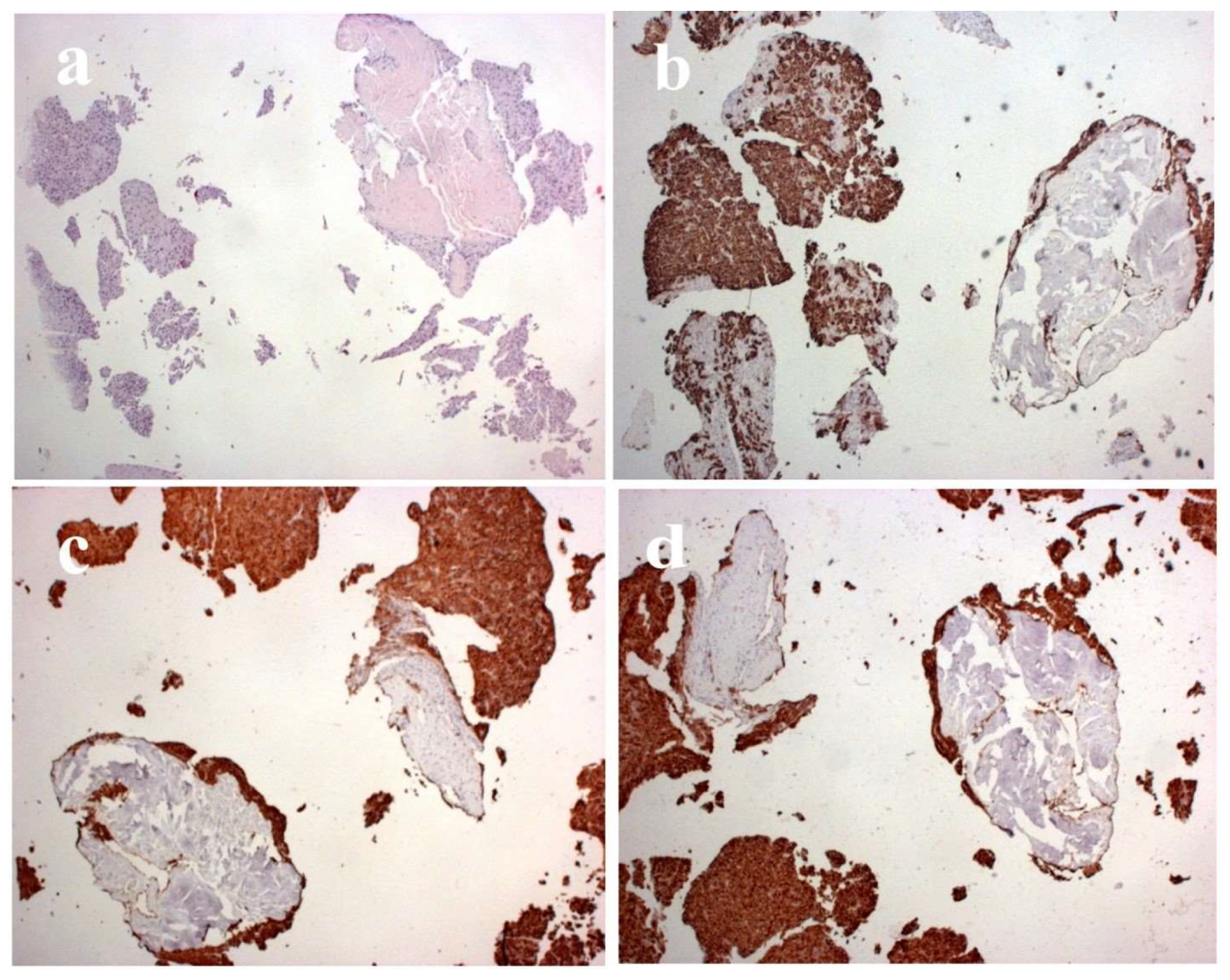 Preprints 153053 g007