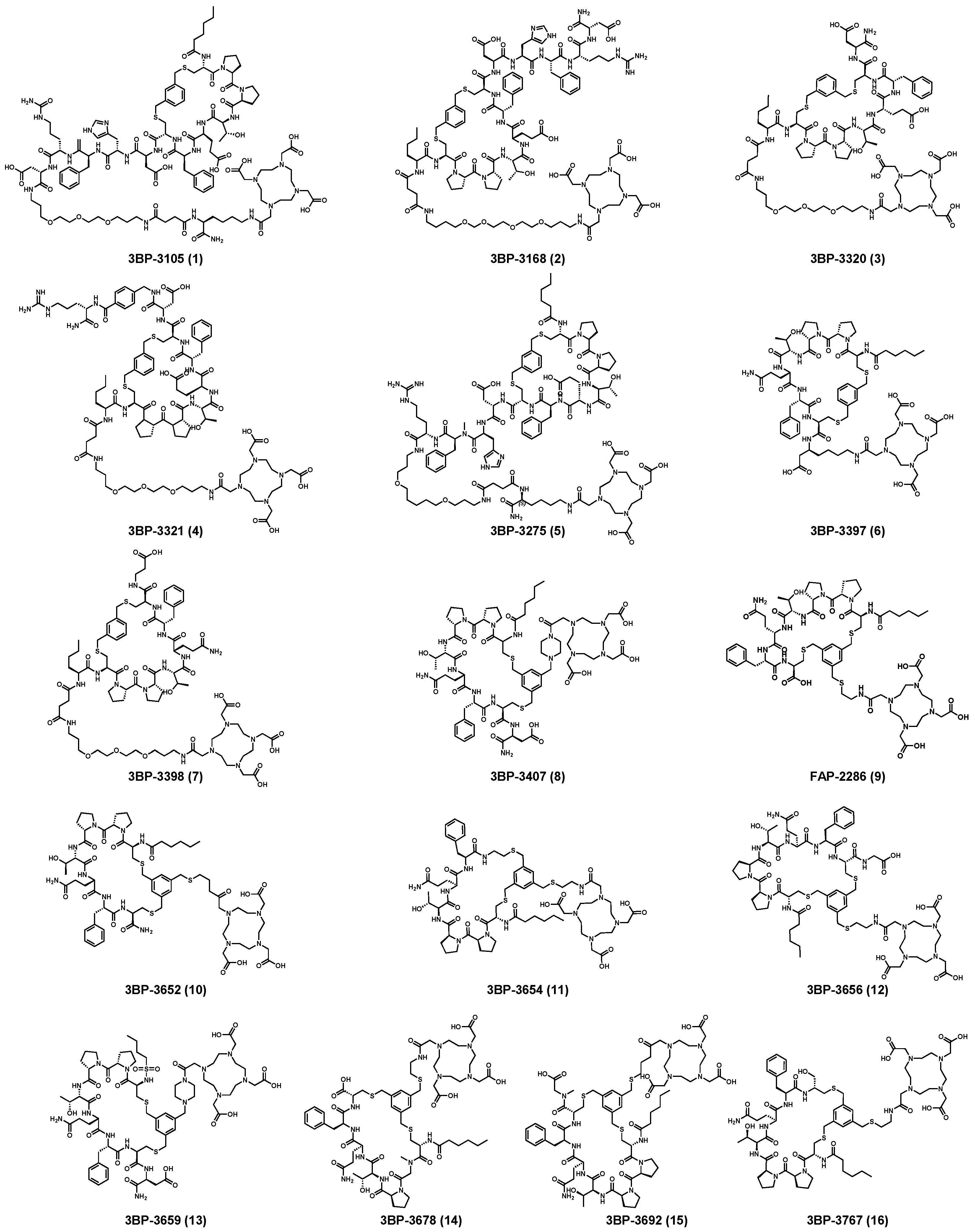Preprints 98191 g002