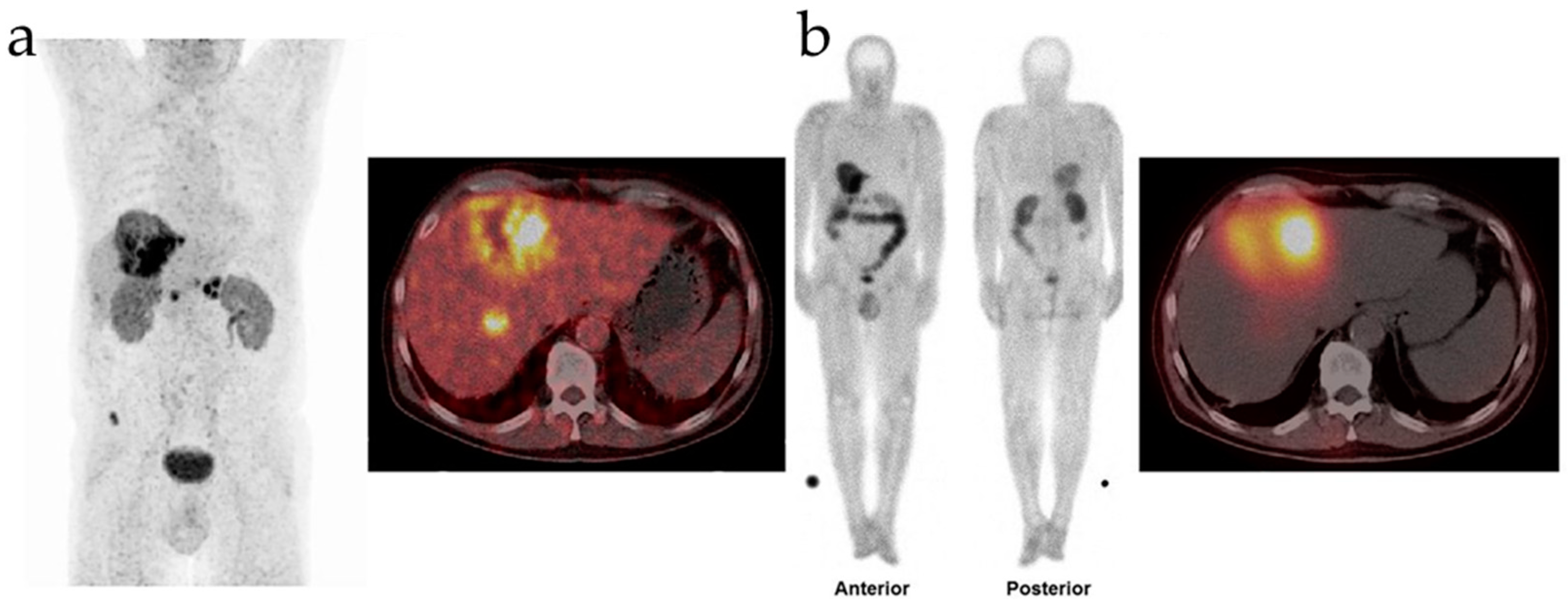 Preprints 98191 g003