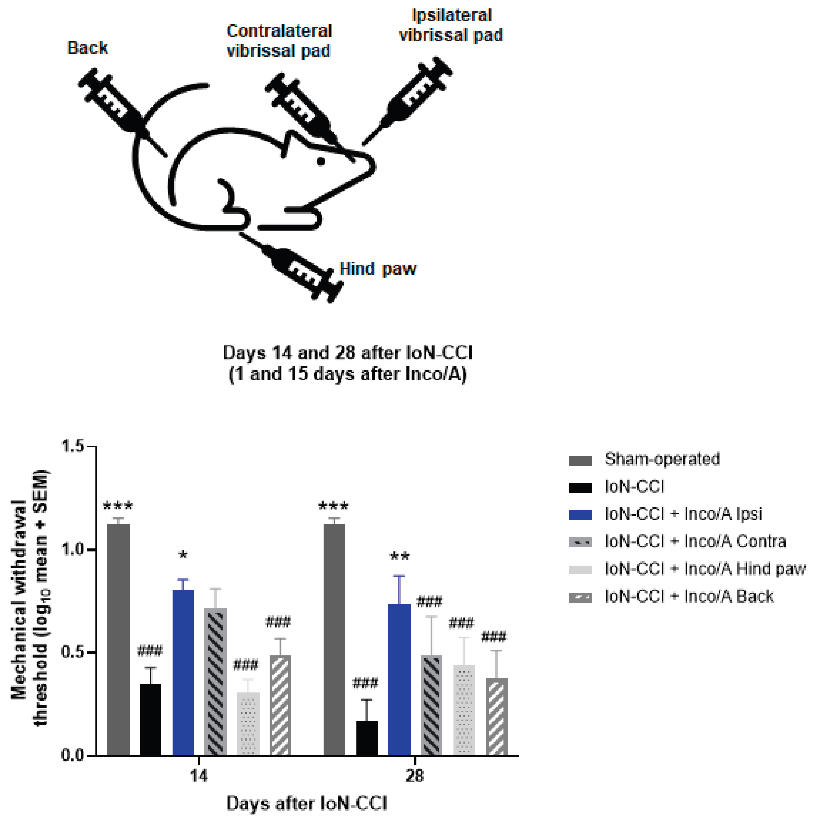 Preprints 202545 g003