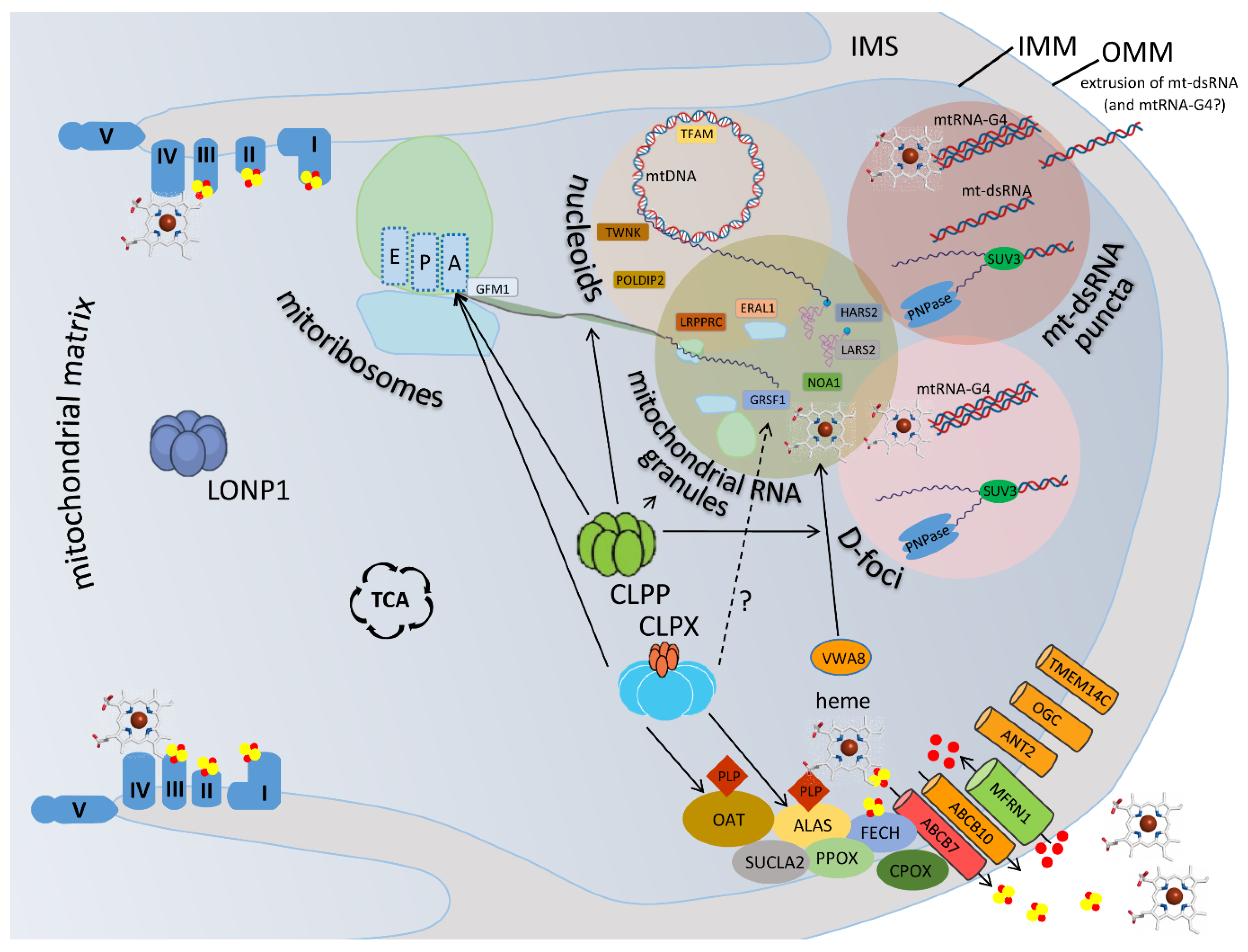 Preprints 104835 g001