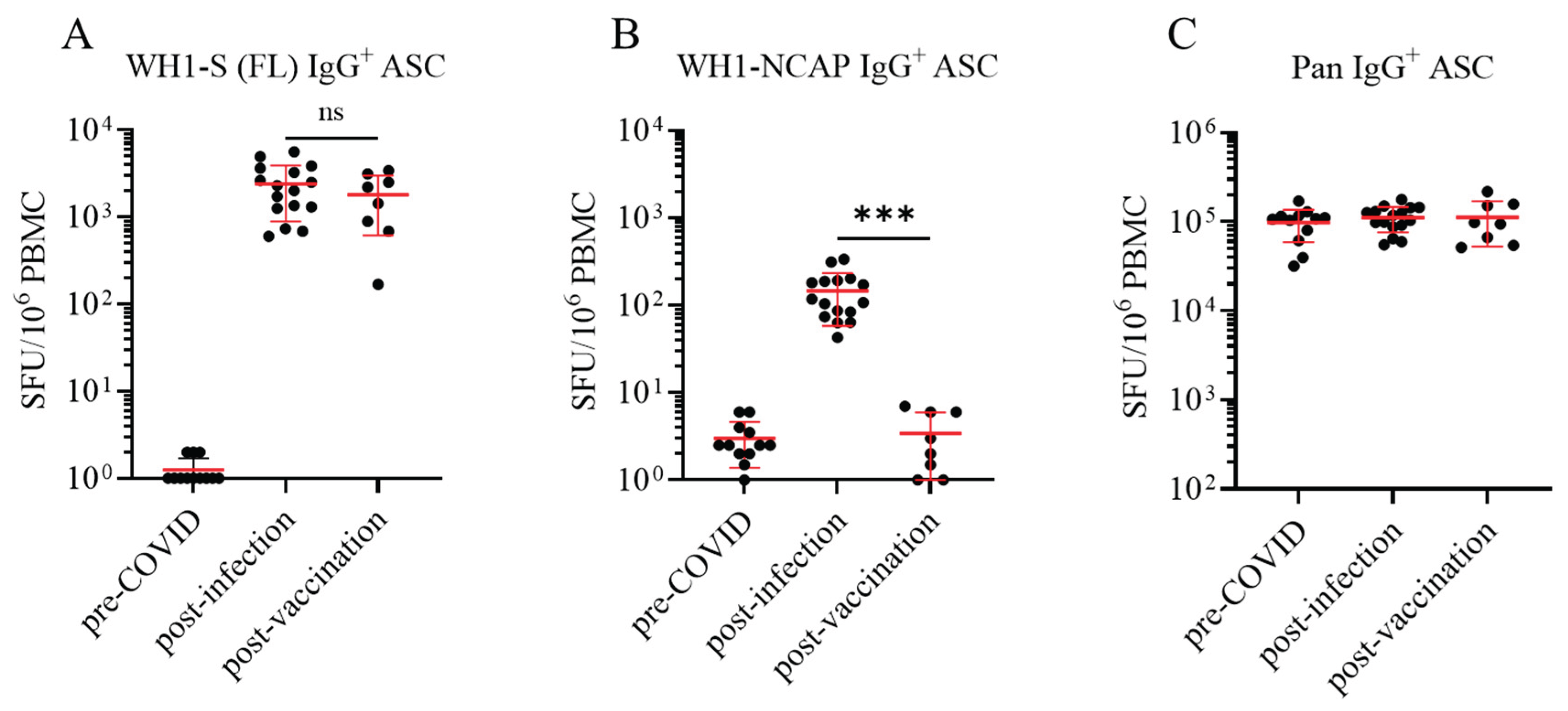 Preprints 169448 g001