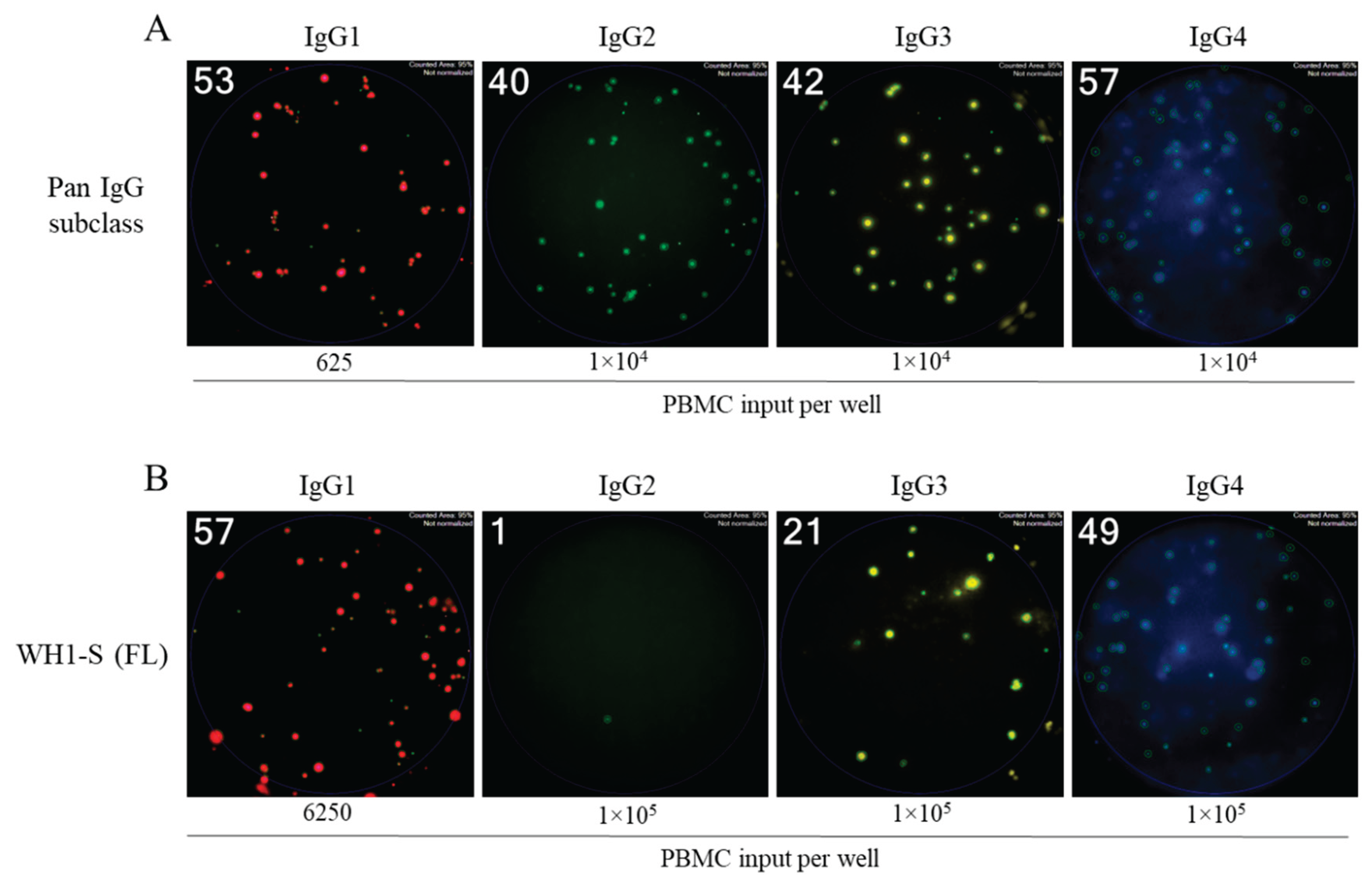 Preprints 169448 g003