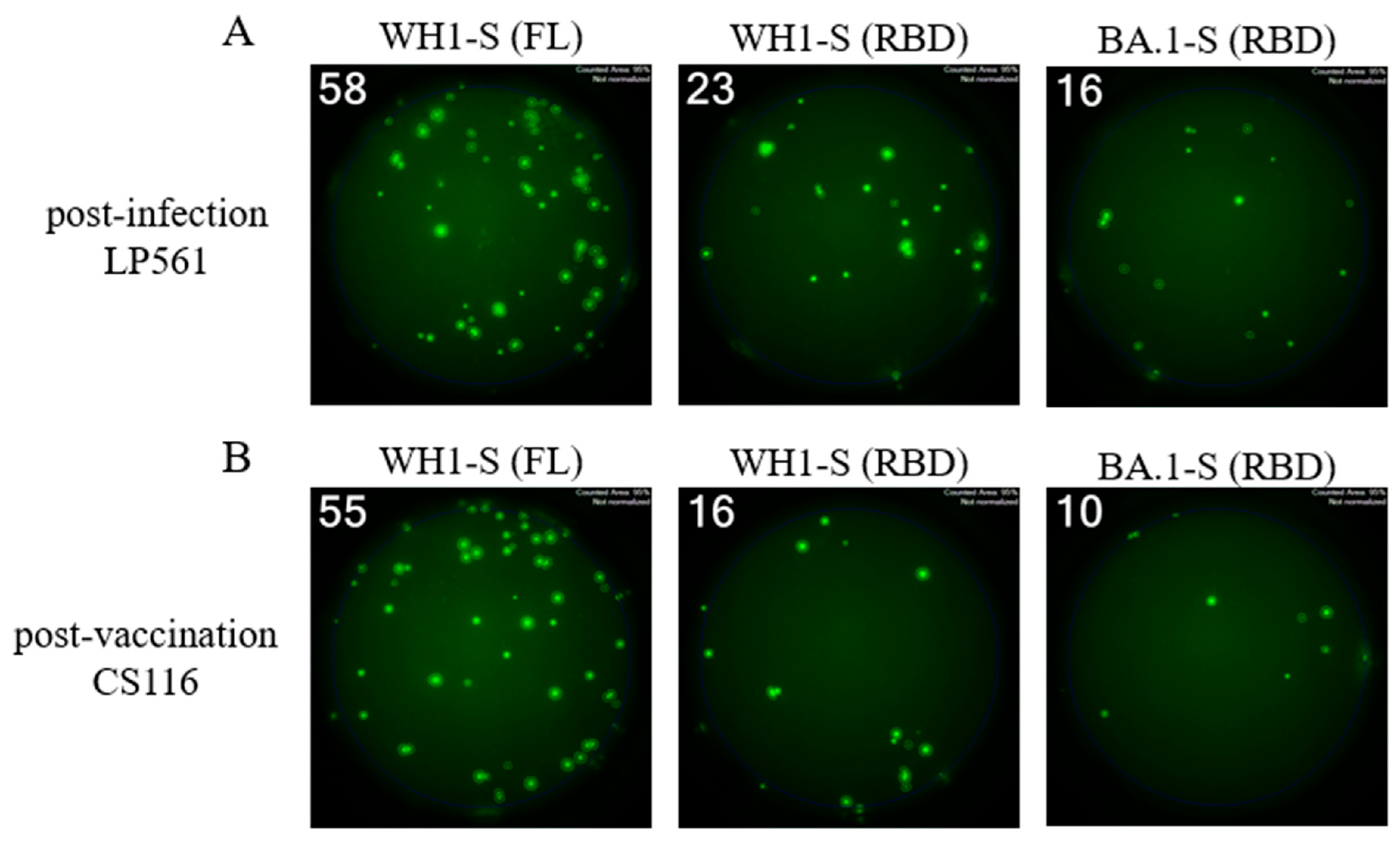 Preprints 169448 g005