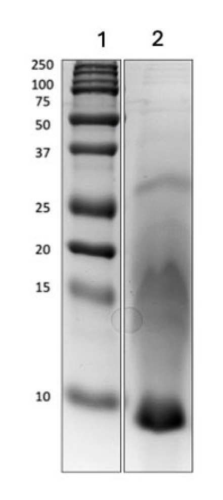 Preprints 231999 g003 Preprints 231999 g003