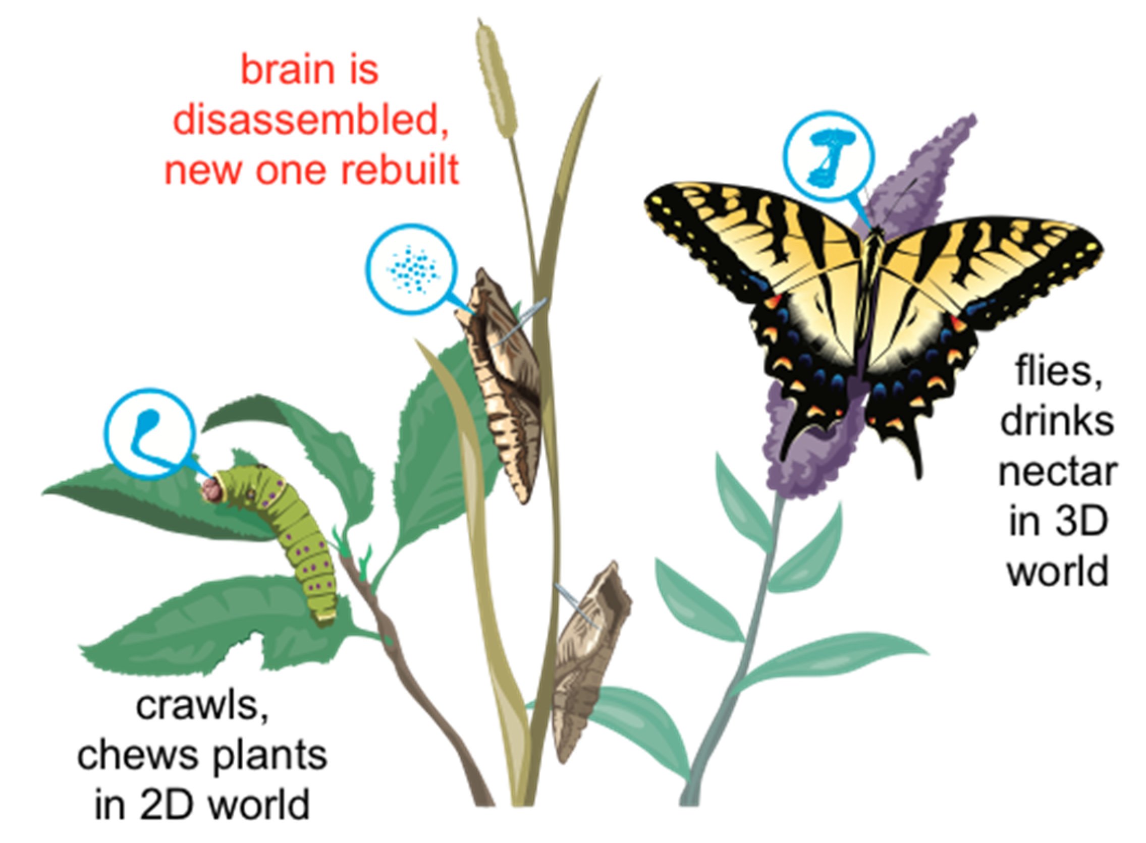 Preprints 199730 g005