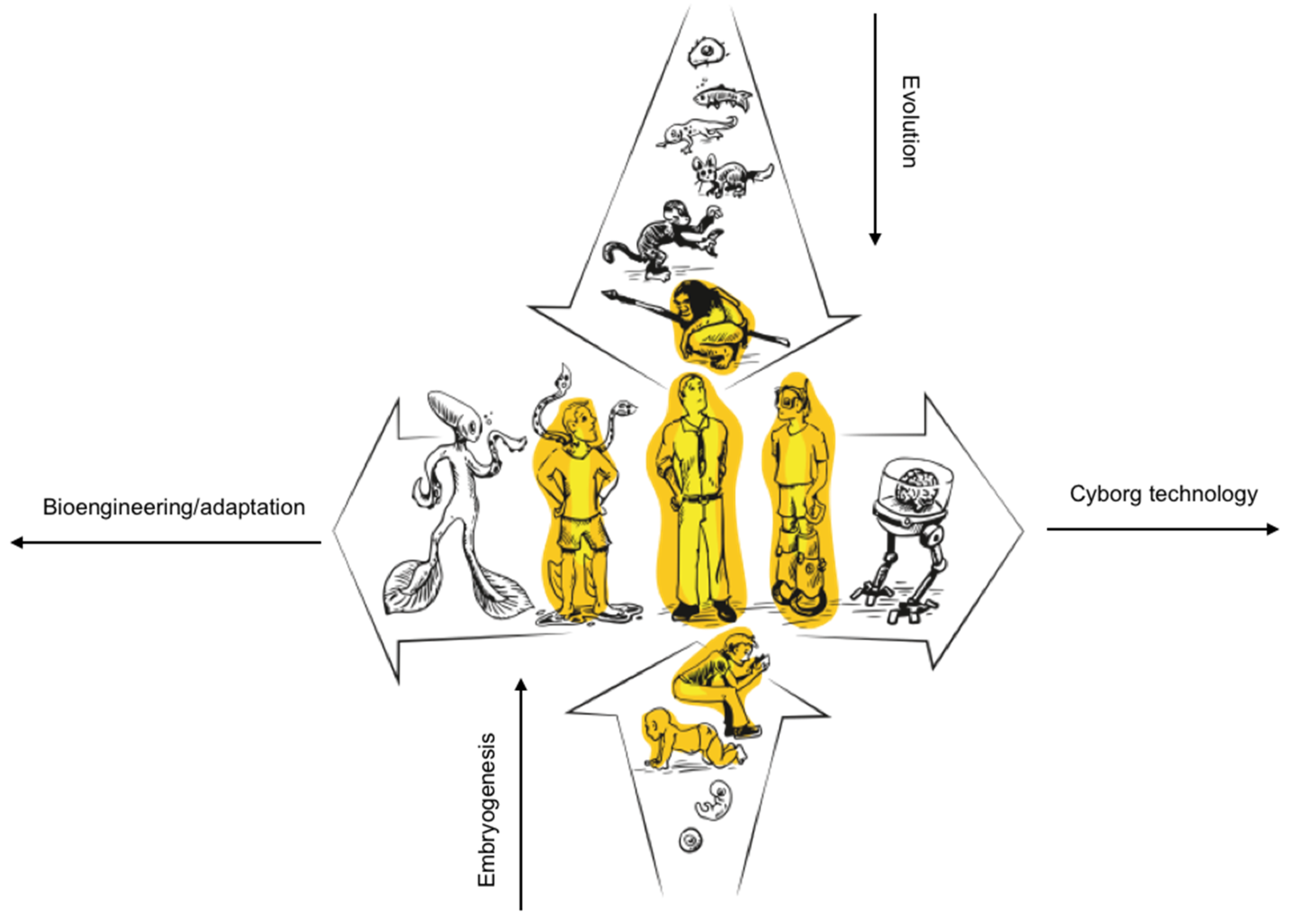 Preprints 199730 g006