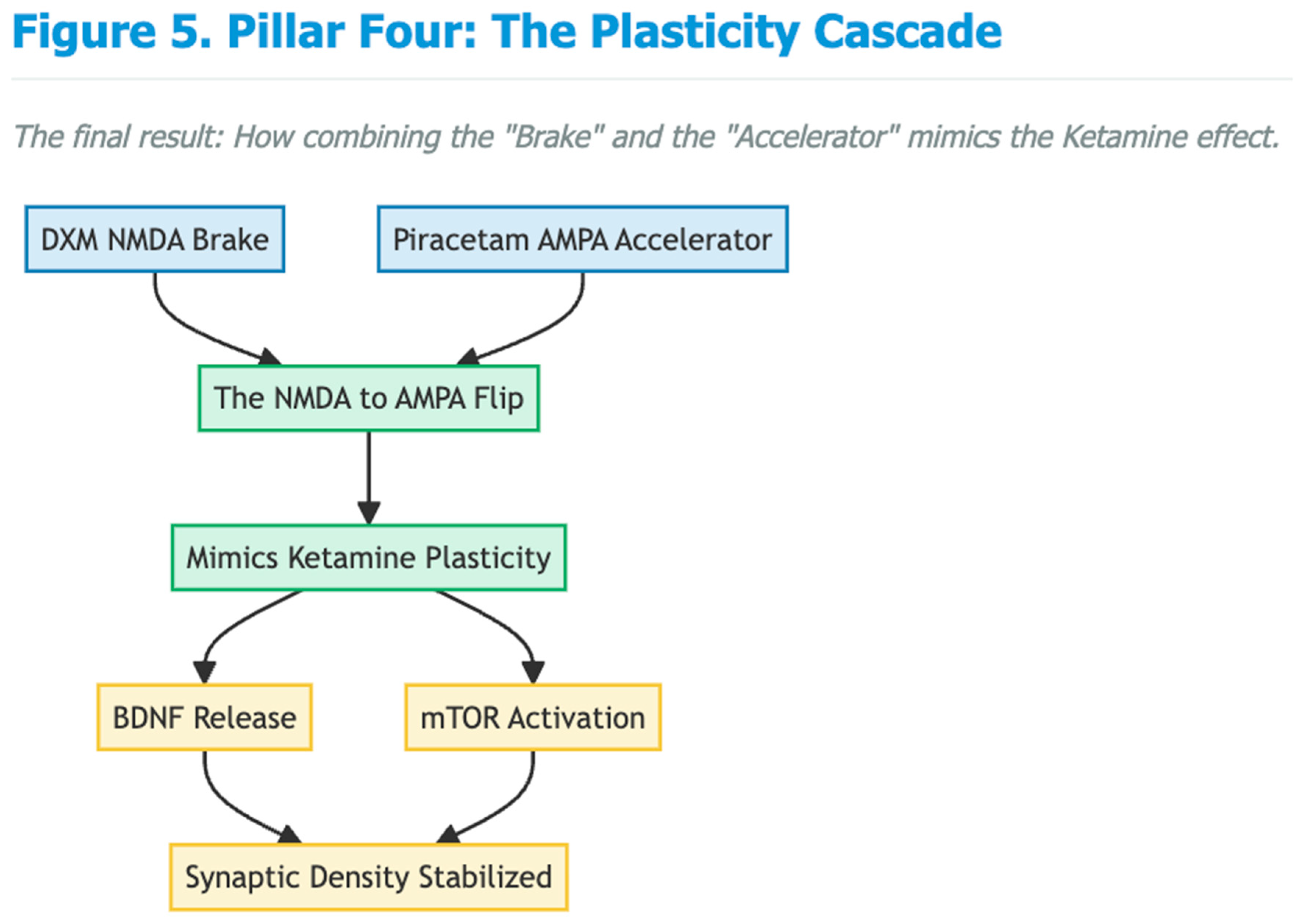 Preprints 188217 g005
