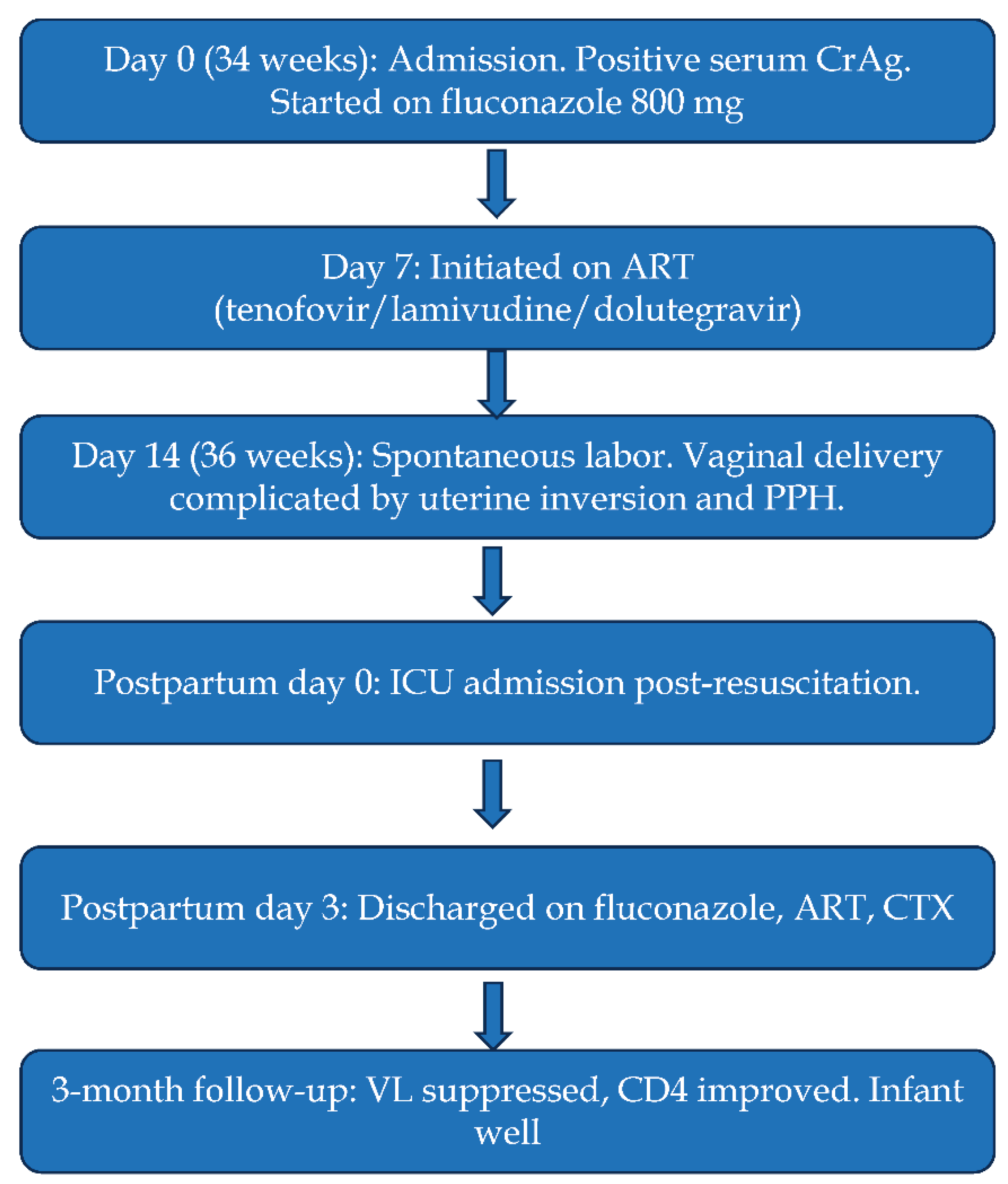 Preprints 192626 g001