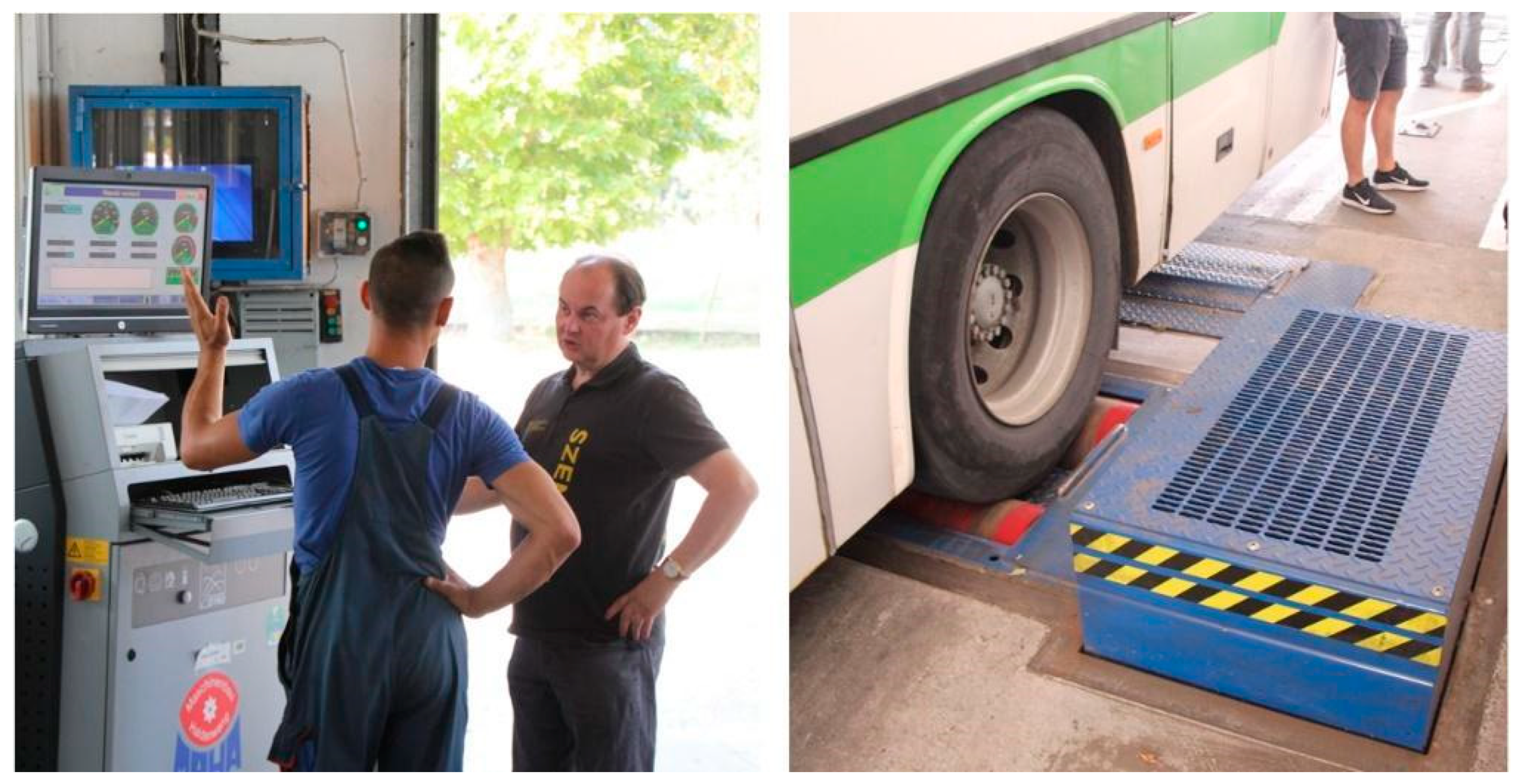 Preprints 141566 g006