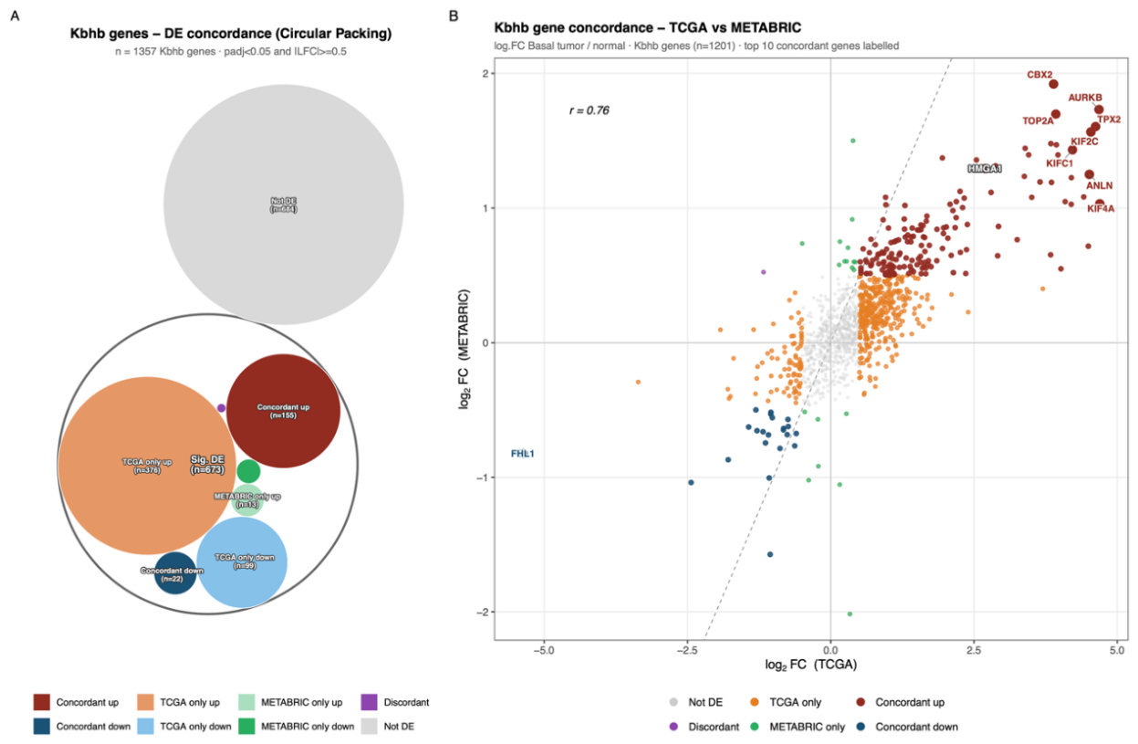 Preprints 219432 g002 Preprints 219432 g002