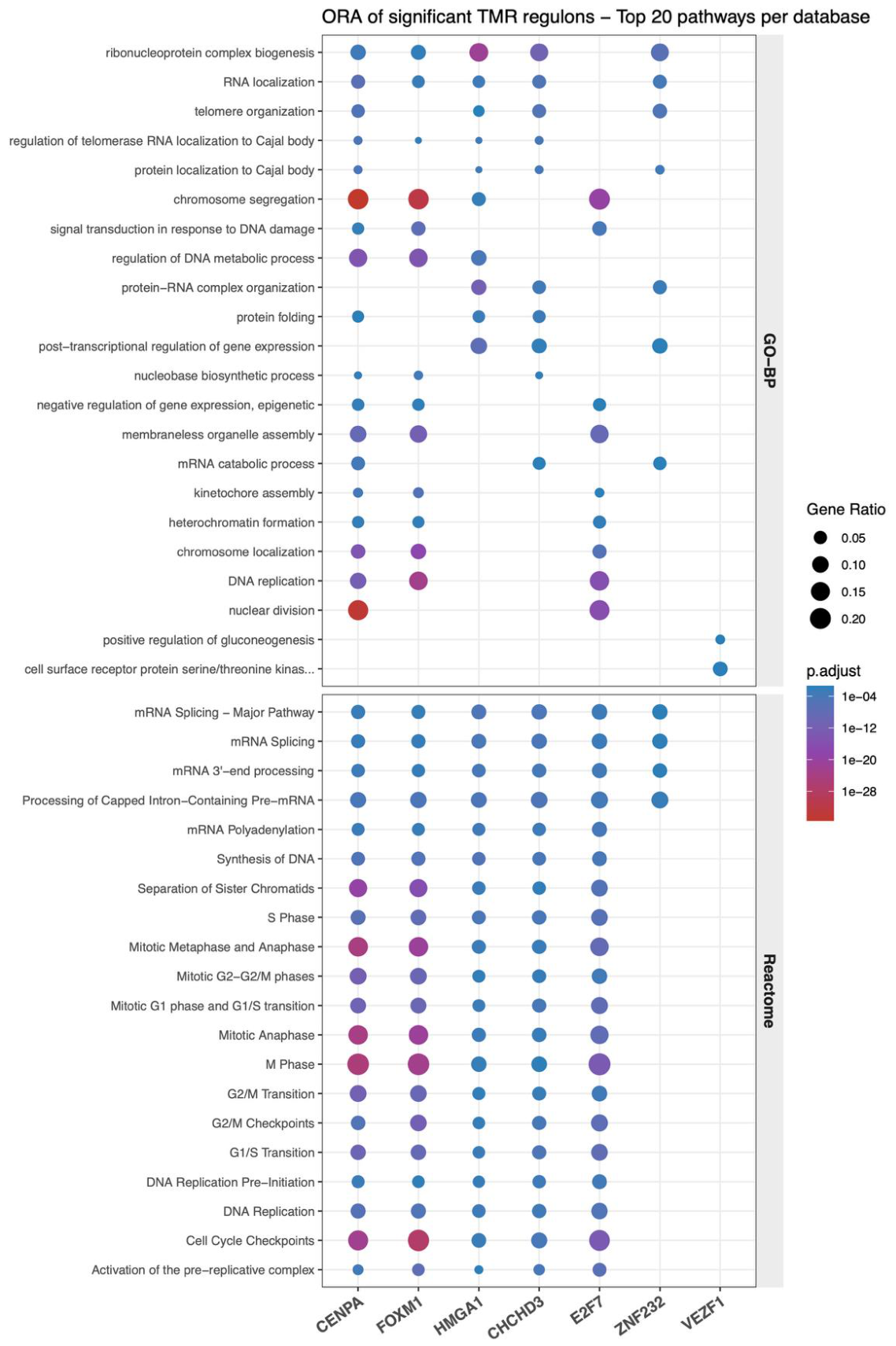 Preprints 219432 g003 Preprints 219432 g003