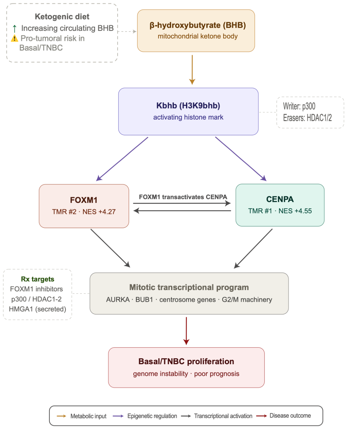 Preprints 219432 g005 Preprints 219432 g005