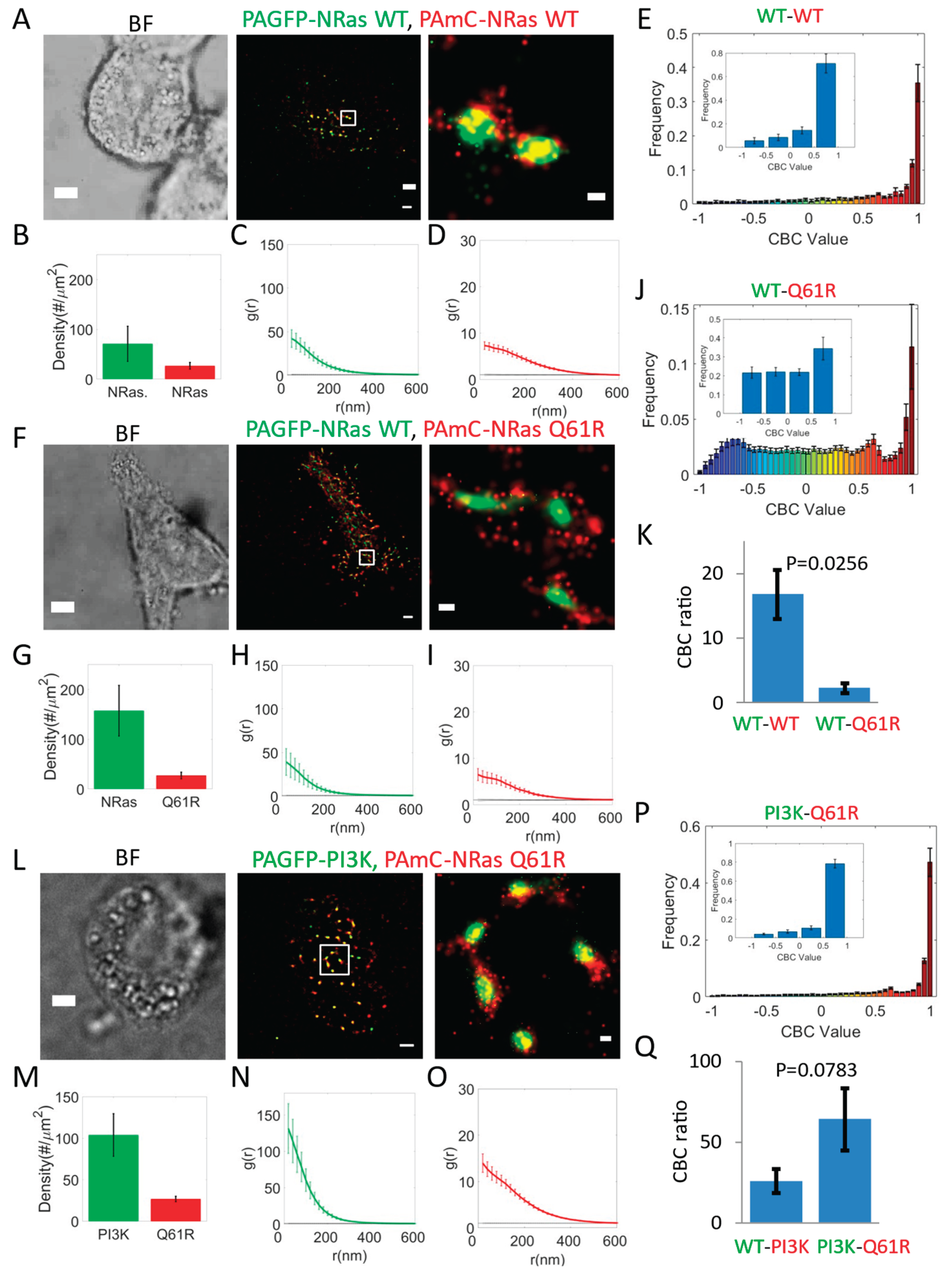 Preprints 175677 g003