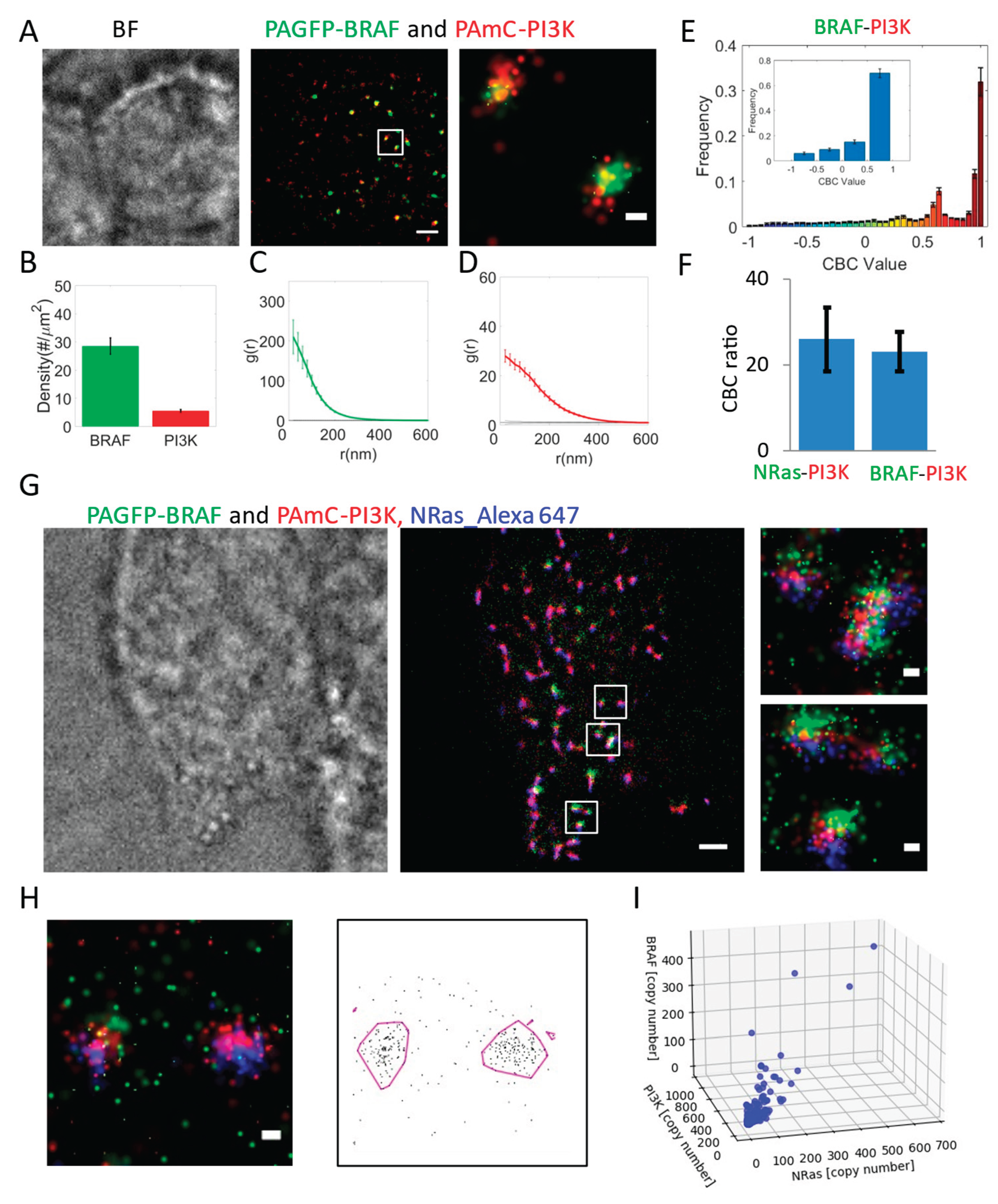 Preprints 175677 g004