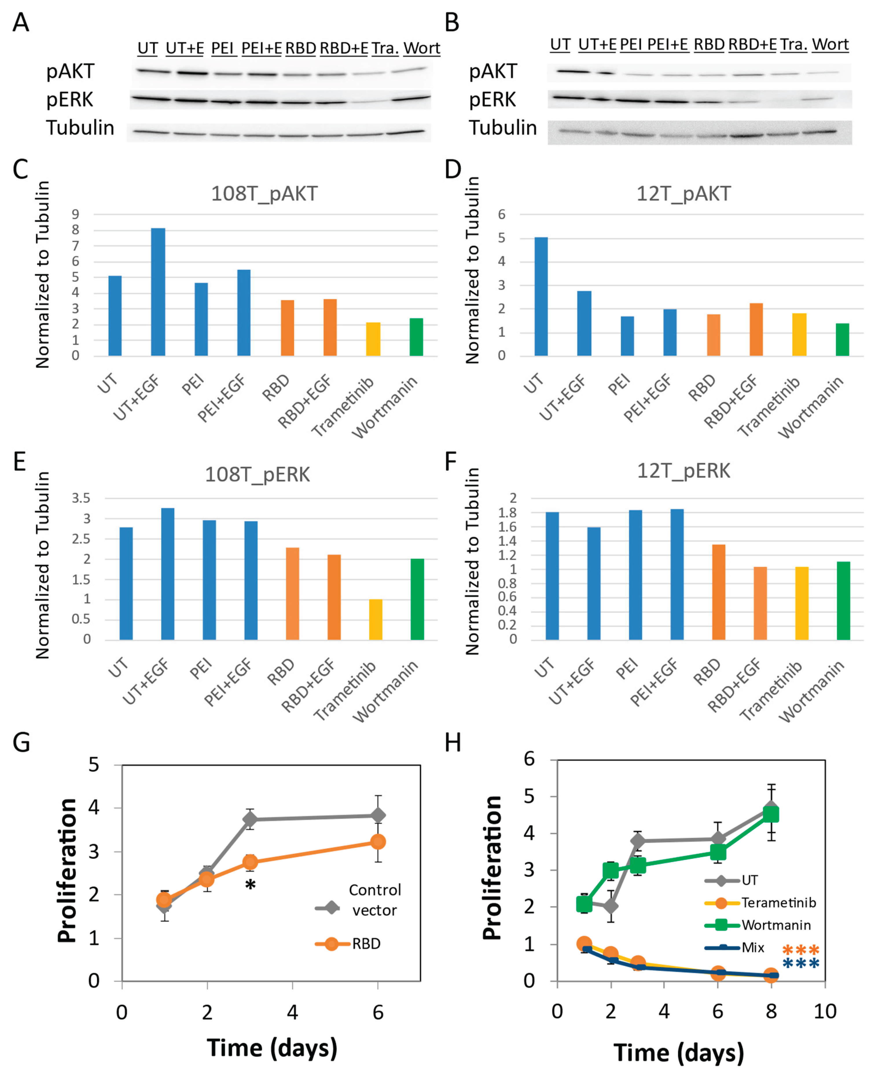 Preprints 175677 g006