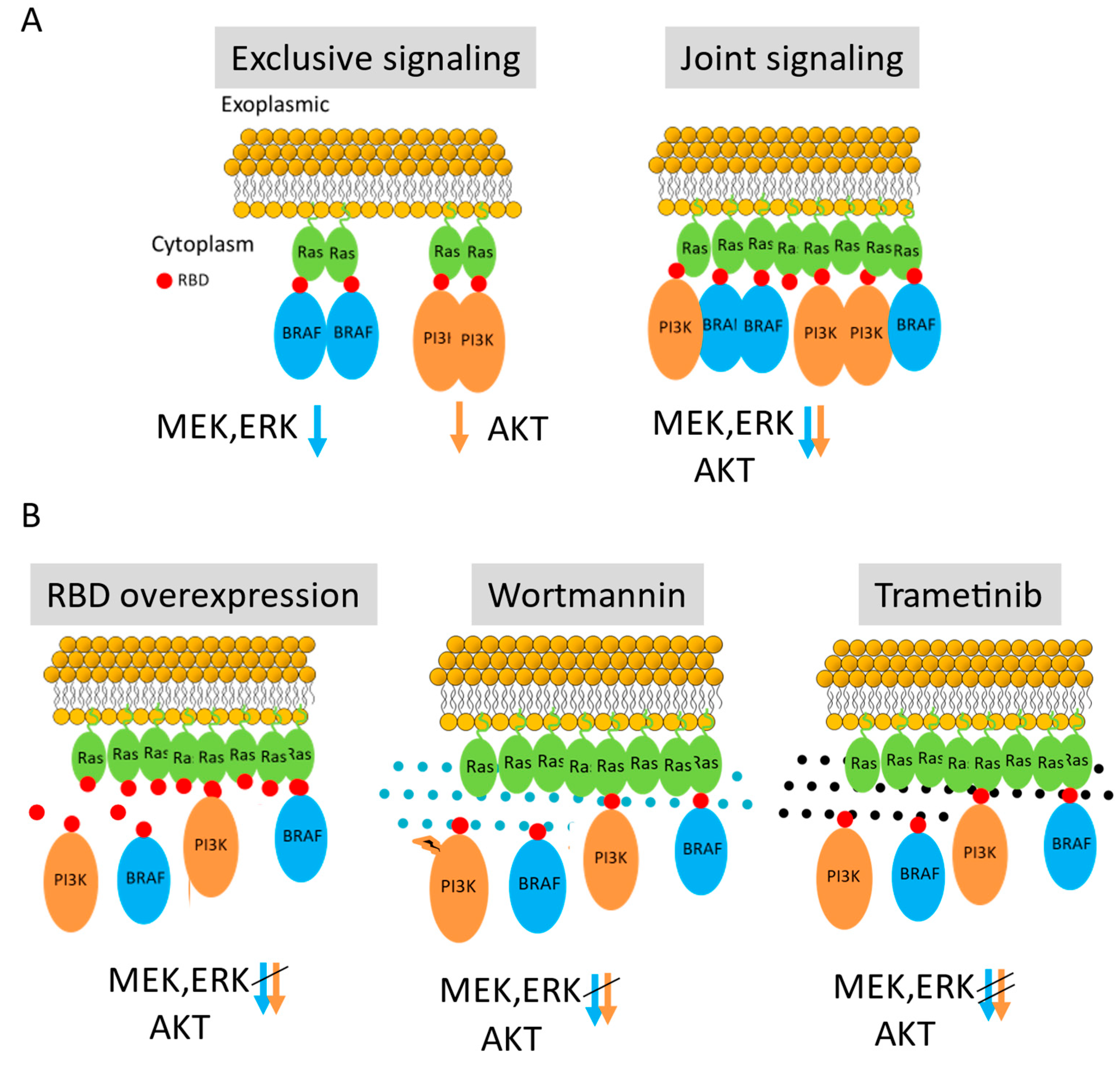 Preprints 175677 g007